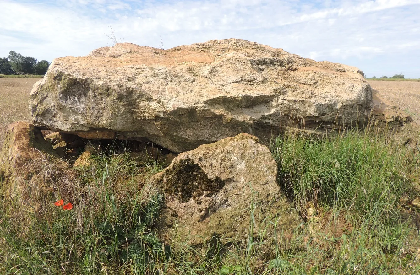 Photo showing: Dans un grand champs ouvert, le dolmen de la Pierre levée d'Echauffour (61) avec sa table et 2 des orthostates encore en place