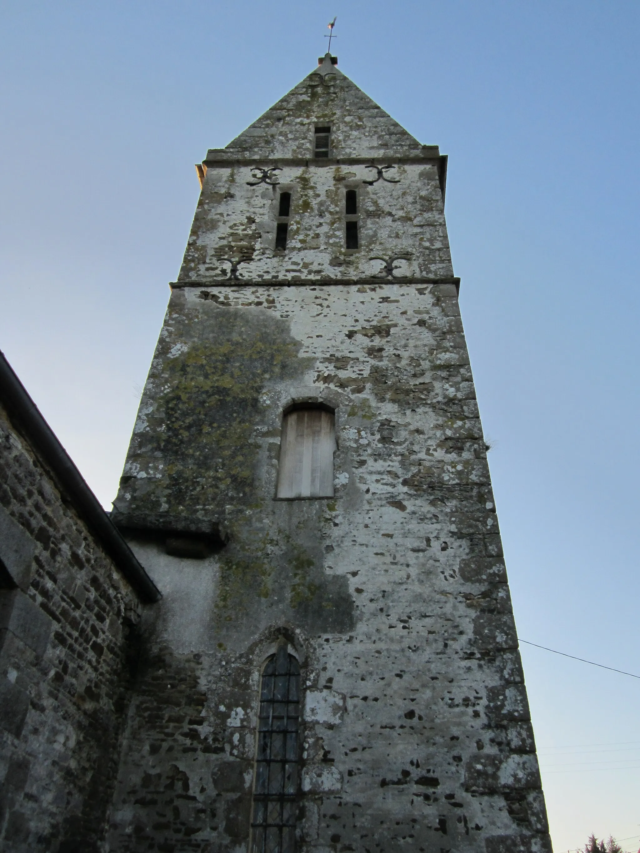 Photo showing: Vernix, Manche