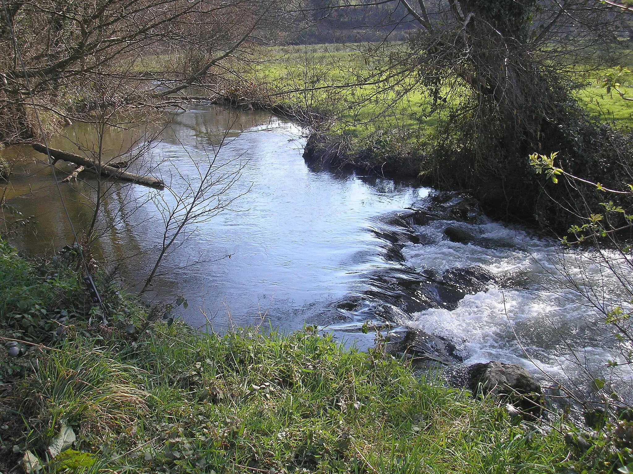 Photo showing: La Saire entre Teurthéville-Bocage, à gauche, et Brillevast, à droite (Normandie, France).