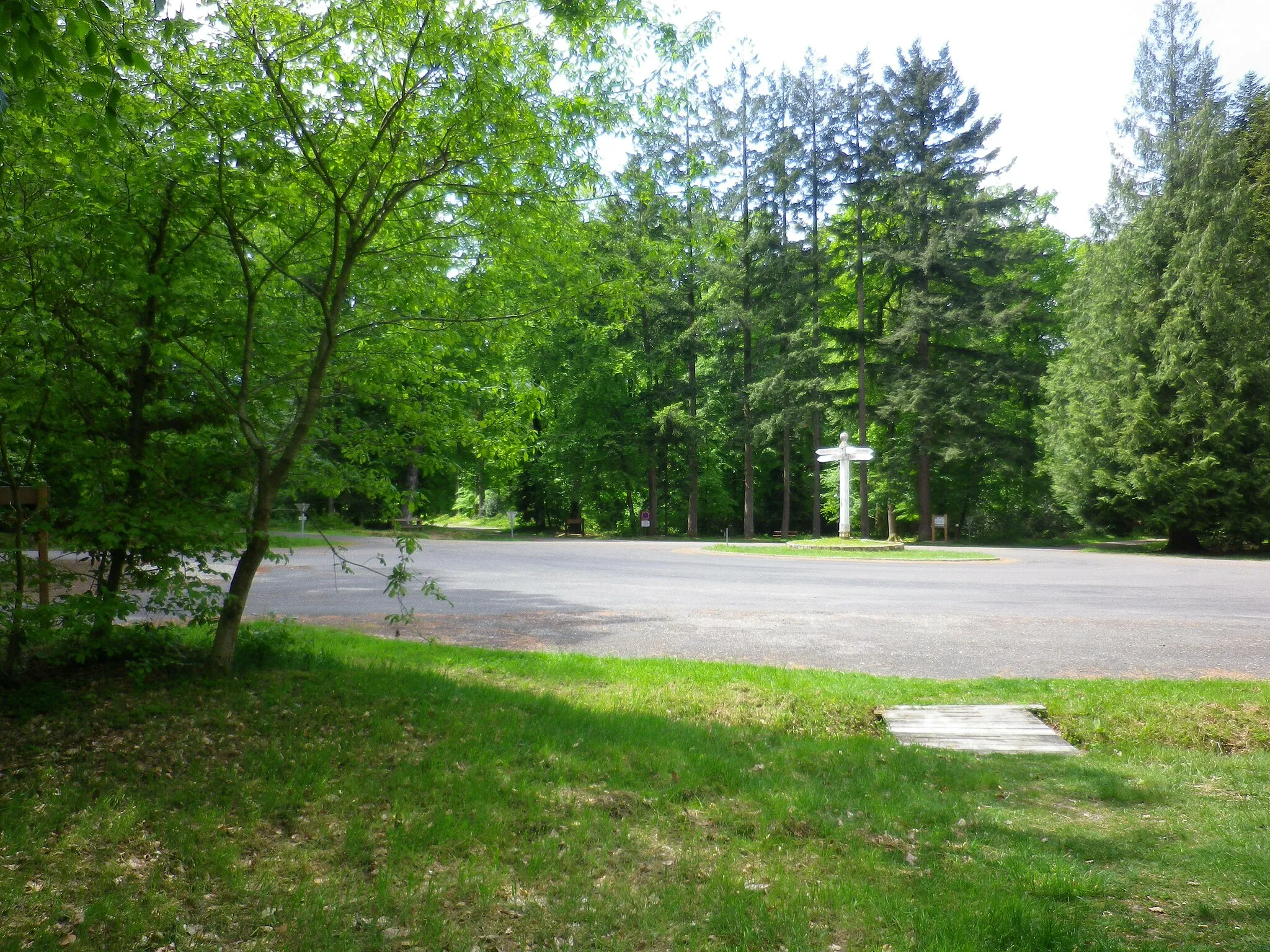 Photo showing: Carrefour de l'étoile du perche, foret domaniale perche-trappe, parc naturel régional du Perche