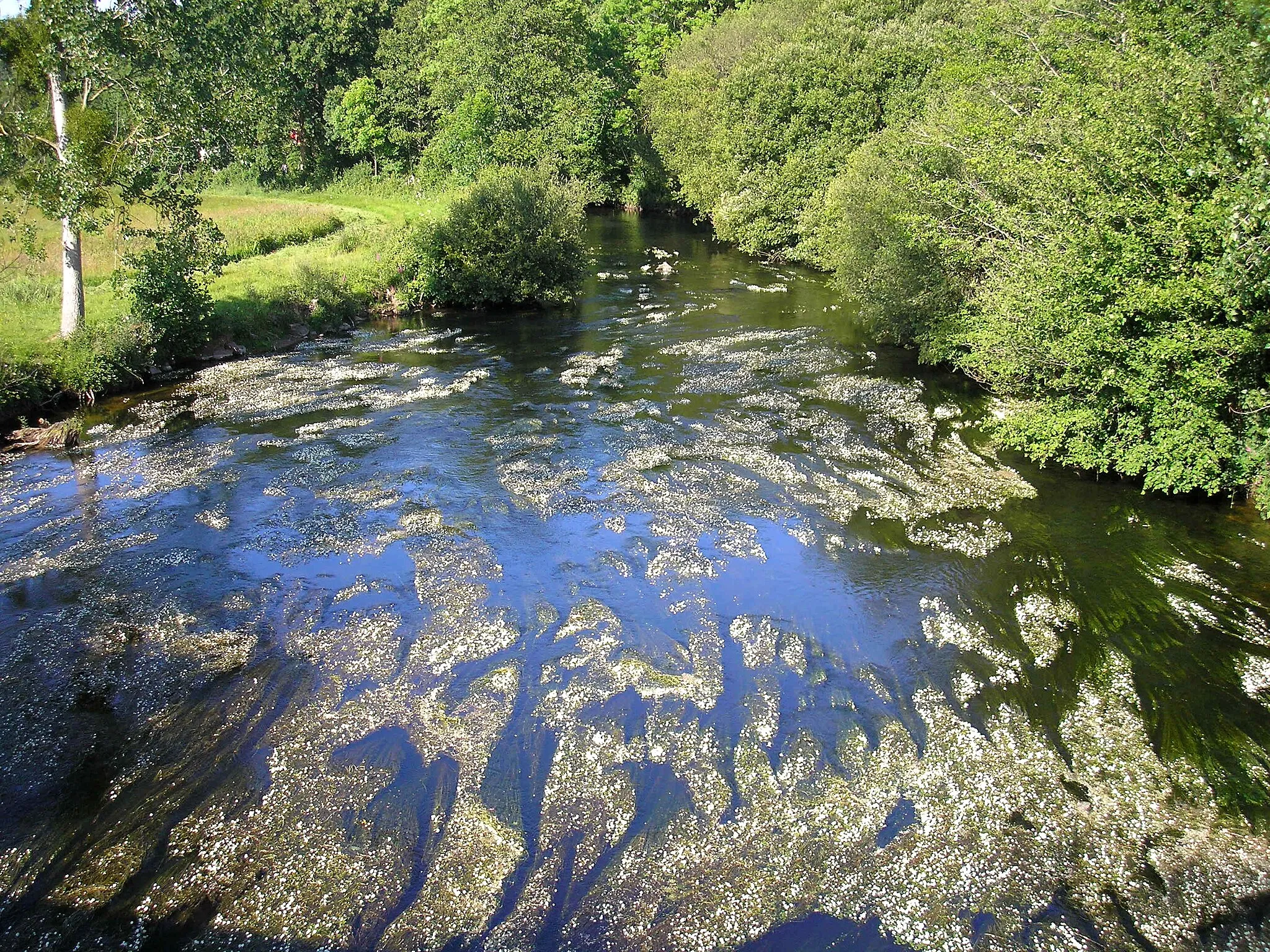 Photo showing: La Sélune entre Ducey, à gauche, et Saint-Laurent-de-Terregatte, à droite (Normandie, France).