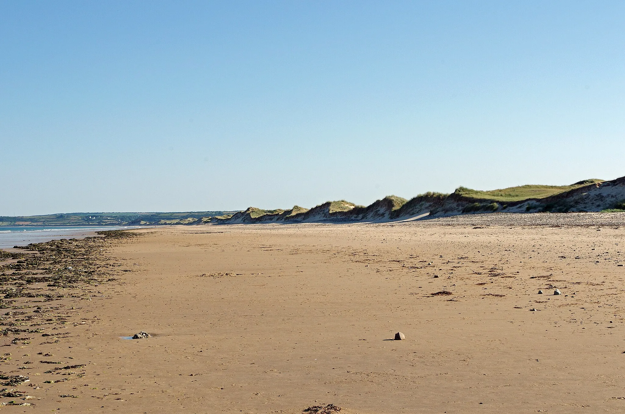 Photo showing: Baubigny (Manche)
Cordon dunaire de Baubigny.
Il ya environ 85 000 ans  (Paléolithique), le niveau de la mer est supérieur au niveau actuel et vient battre une falaise.  Ensuite, pendant la période glaciaire,  la la mer se retire de plusieurs centaines de mètres et laisse sur place des sédiments. Lors du réchauffement Holocène, il y a 12 000 ans, la mer remonte en repoussant les sédiments déposés. Les sédiments poussés par le vent constitueront un cordon dunaire littoral avec un marais en arrière-littoral. Les sables poussés par les vents finiront par combler le marais et par surmonter la falaise. La côte semble se stabiliser il y a 1400 ans.
Ensuite, ce sont les activités humaines qui modèleront le massif dunaire : pâtures, exploitation de végétaux comme l'oyat pour la litière, etc.
L'utilisation excessive des dunes, conjointement à un climat plus froid, déstabiliseront les dunes  vers les 17e - 18e siècles. En 1839, le capitaine de Cholet en donne une description : « Ces dunes changent de forme à l’époque des équinoxes et, presque toujours, une pluie de sable
inonde le pays lorsque arrivent les brises d’automne ou de printemps. Les habitants ont sacrifié leur propre sécurité et se sont mis à couper le milgreu (l'oyat) pour faire des brosses et des balais ». Les premières routes sont construites au début du 20e siècle.
Depuis 2002, le massif dunaire fait partie du Site d’Intérêt Communautaire Natura 2000.

Source DREAL Basse-Normandie / SRMP / DSP 10 boulevard du général Vanier - Caen.