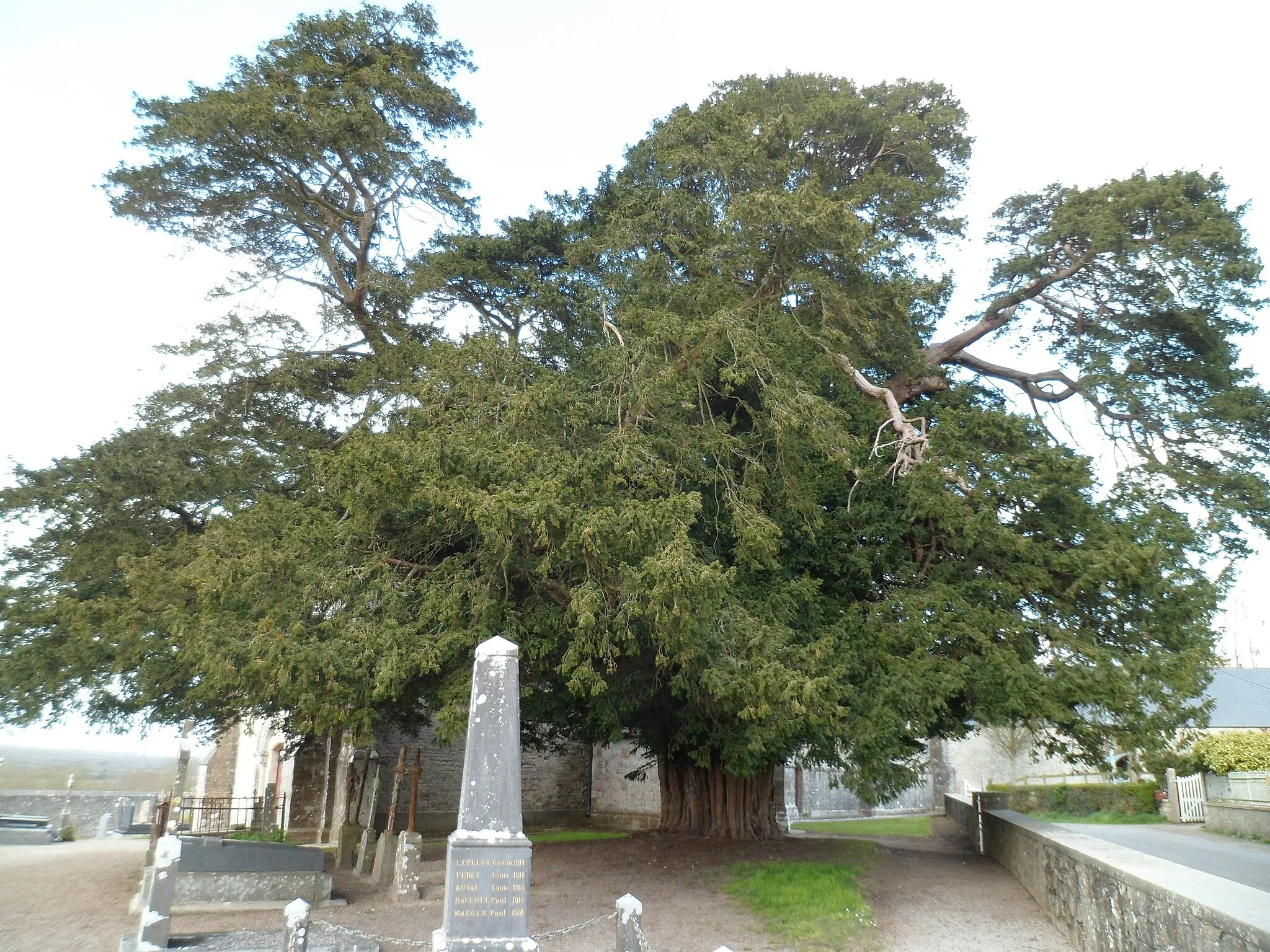 Photo showing: Église Saint-Hermeland de fr:Boutteville