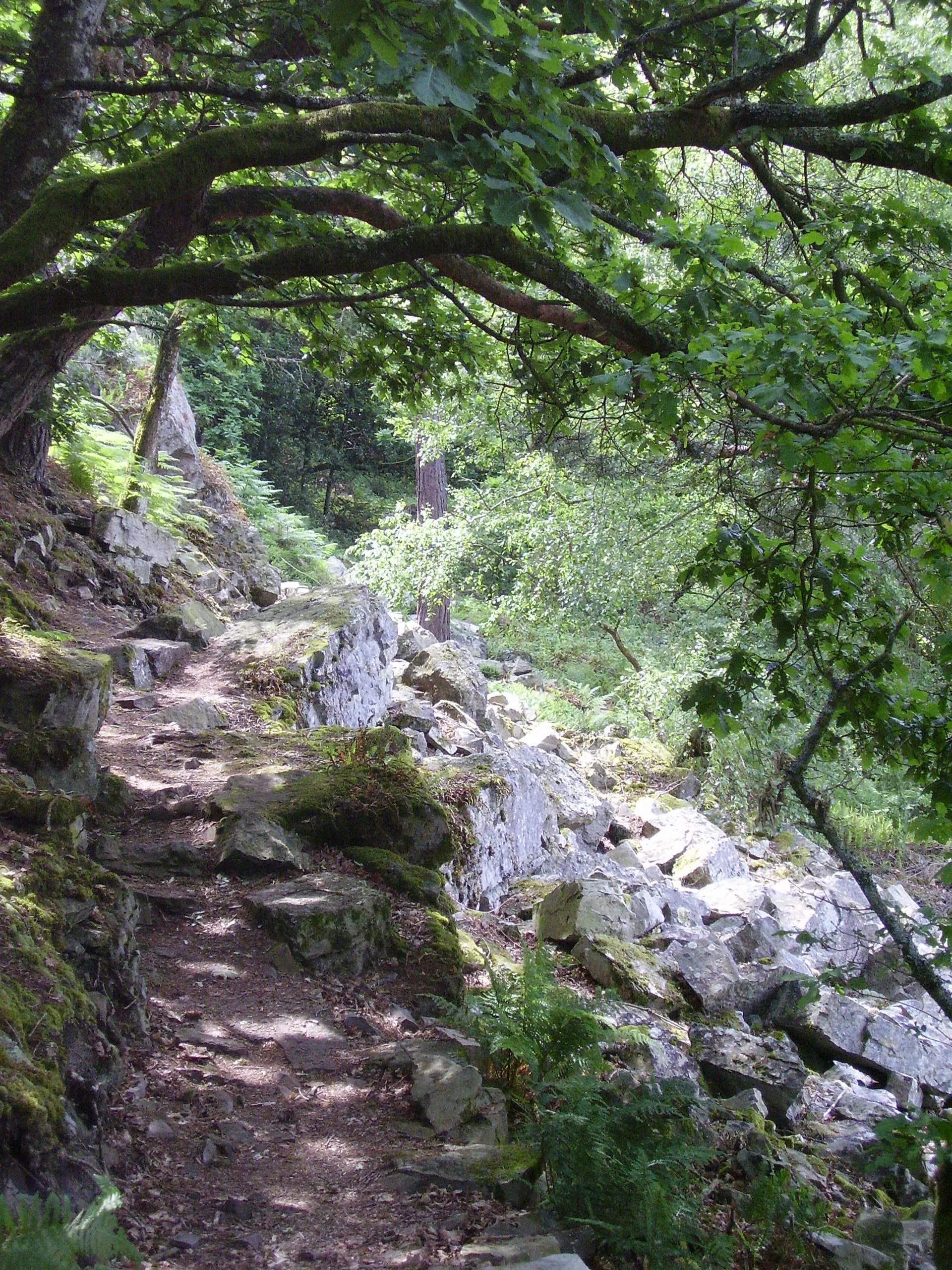 Photo showing: Les Gorges de Villiers dans le Parc naturel régional Normandie-Maine.