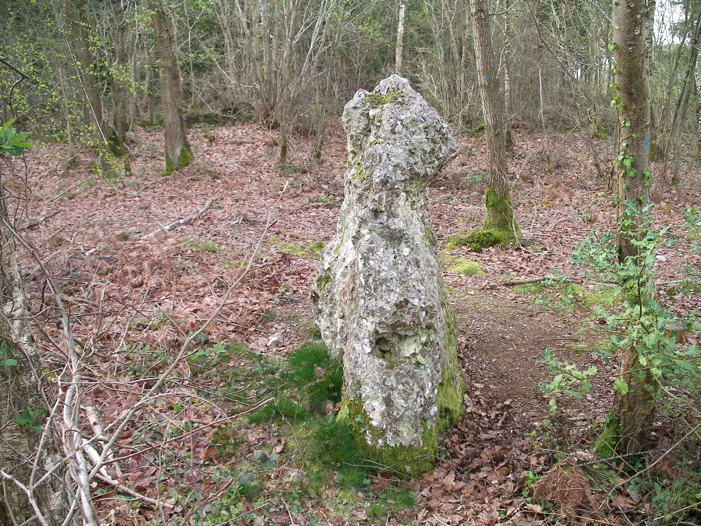 Photo showing: Menhir de la Pierre Tournante à Livarot (Calvados, France)