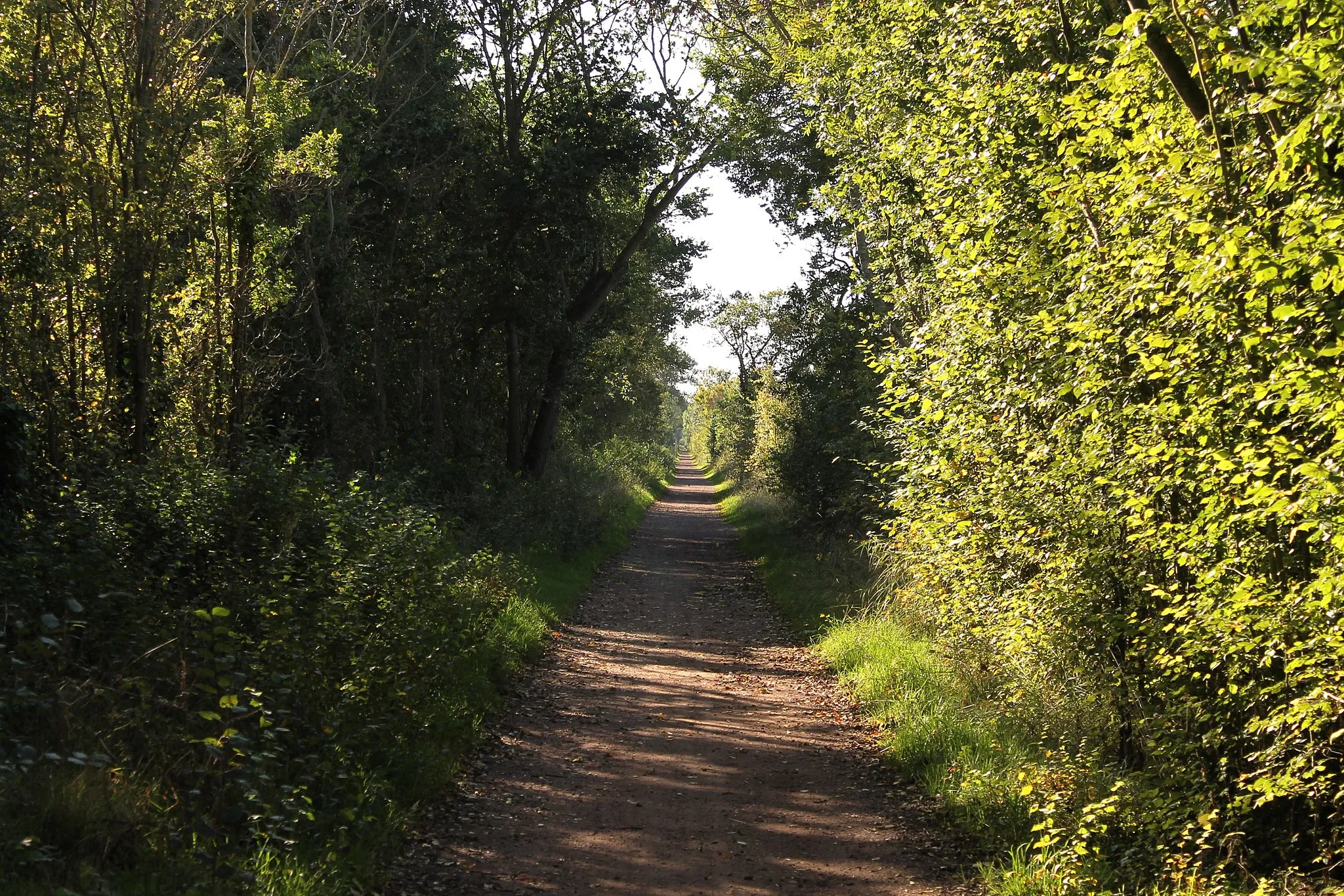 Photo showing: Voie verte sur la rive droite de l'Orne à Amfreville (Calvados)