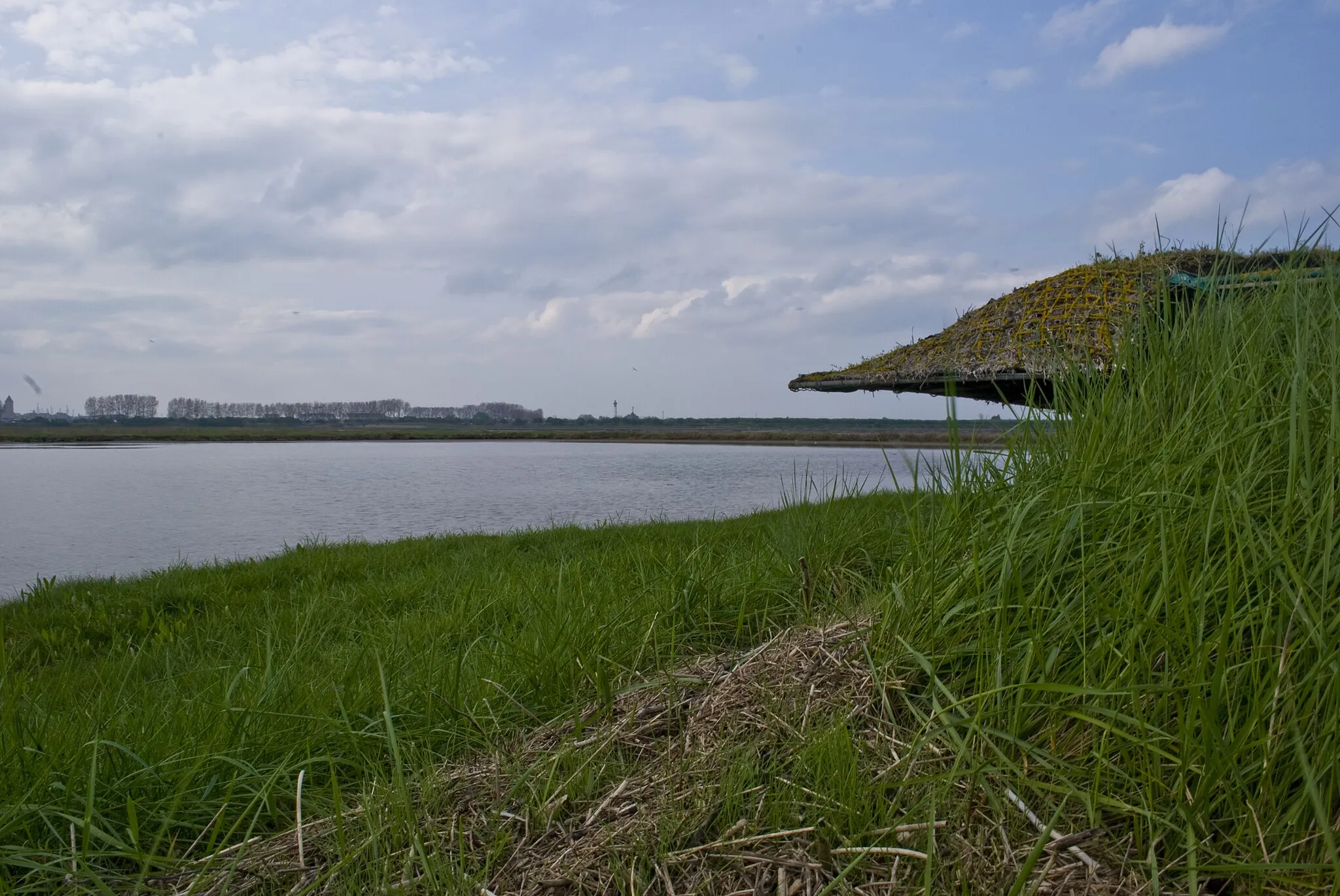 Photo showing: Mare à gabion dans les marais de l'estuaire de l'Orne (Normandie)