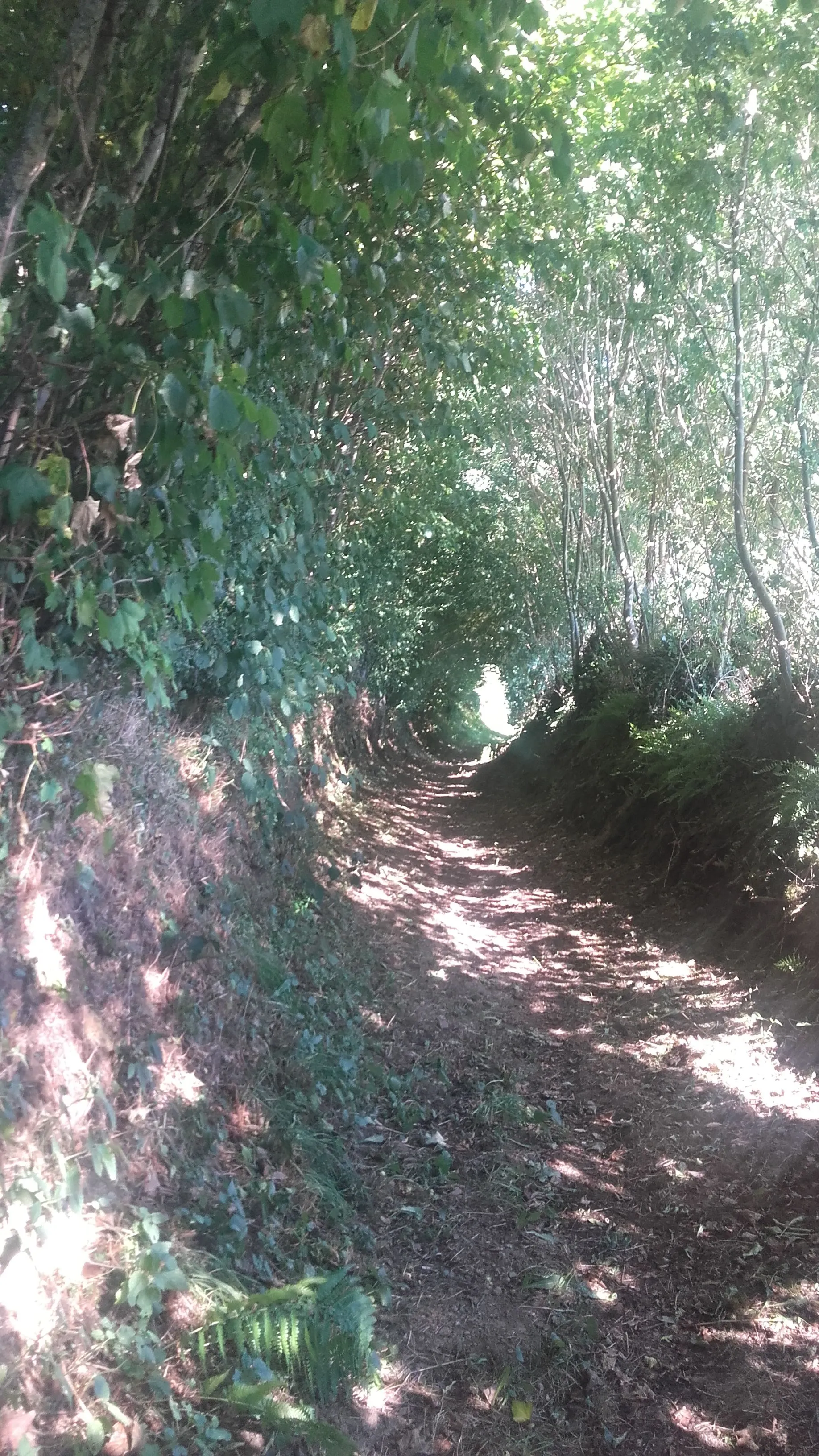 Photo showing: Un des nombreux chemins de randonnée que possède la commune