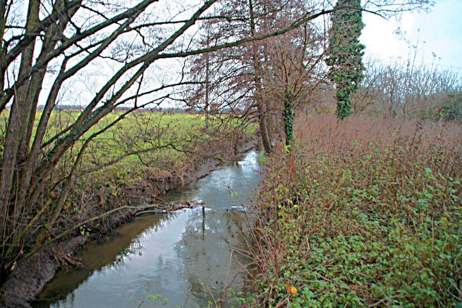 Photo showing: la rivière l'Ancre sur la commune de Brucourt
