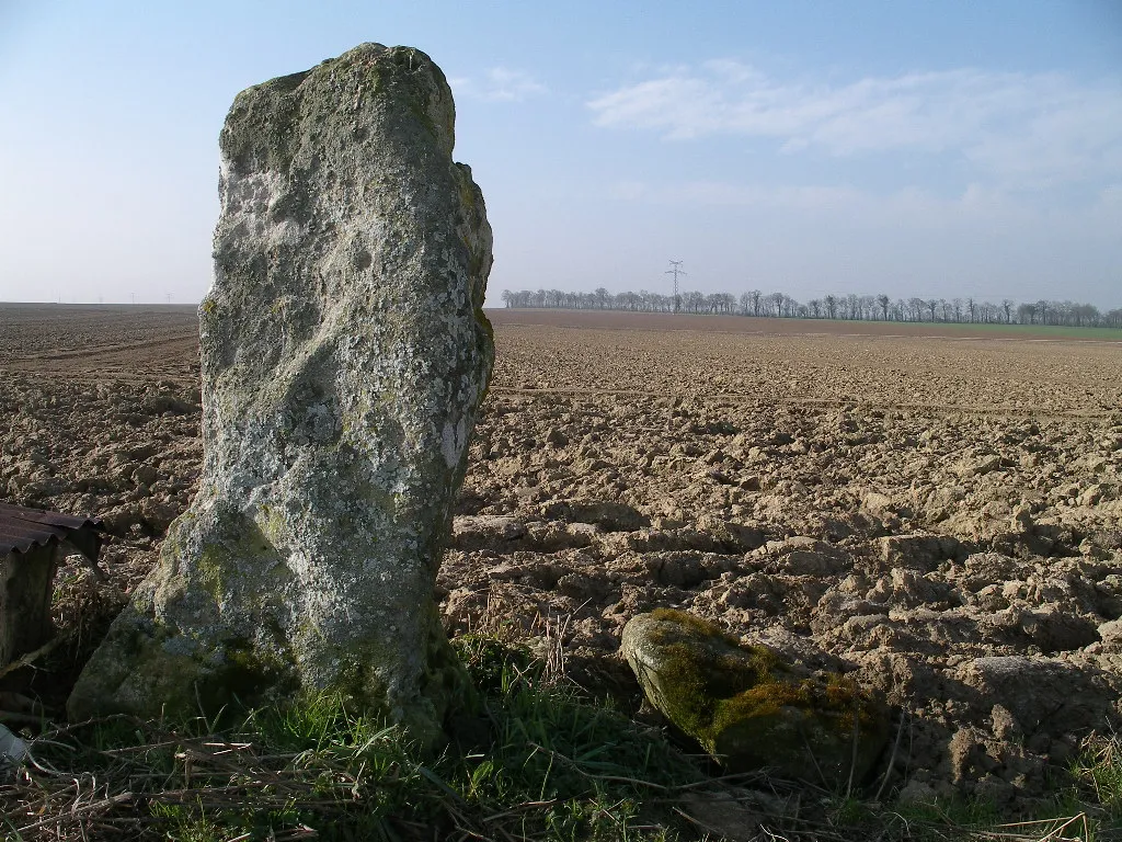 Photo showing: menhir de la Grosse Devise 1 à Thaon (Calvados)