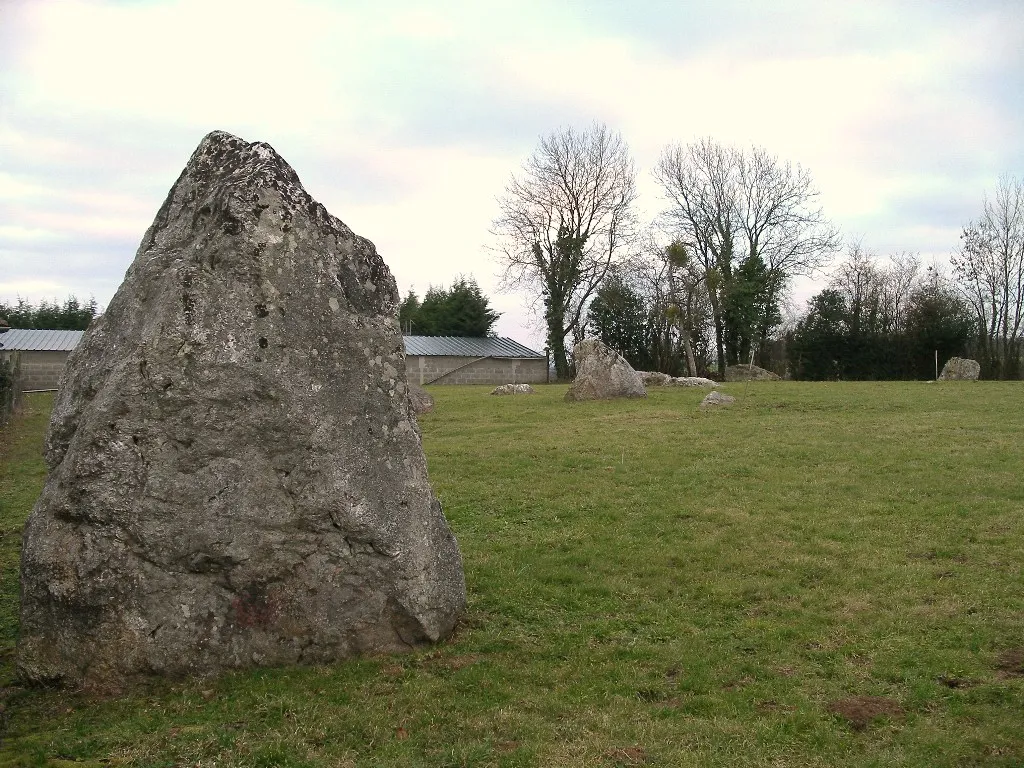 Photo showing: Menhirs de la Plumaudière