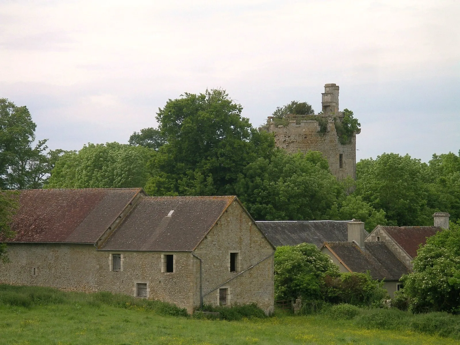 Photo showing: Château Fort dit Donjon de Tournebu (Calvados)