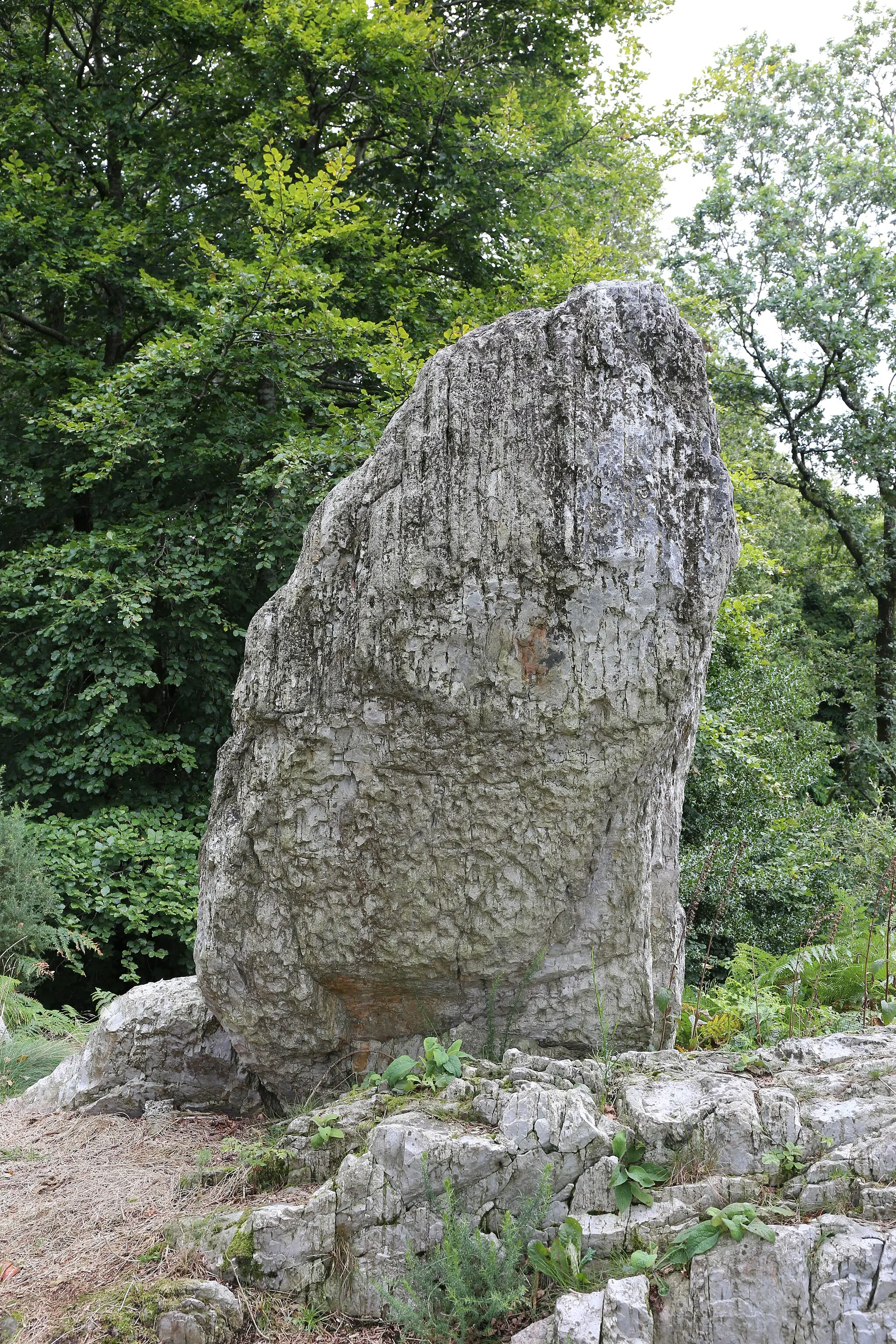 Photo showing: Site de la Cote 314, ou rochers de la Montjoie, à Mortain : monolithe de grès.
