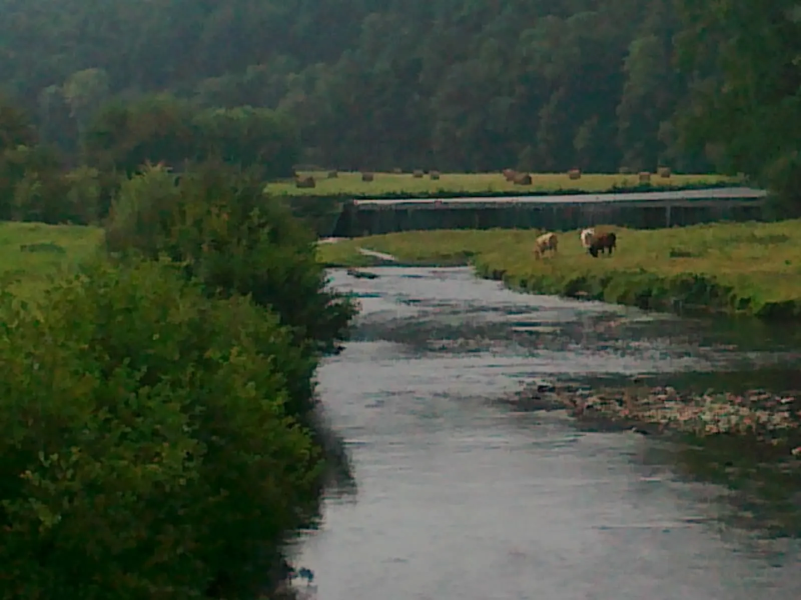 Photo showing: Vue de la Vire depuis le pont de la Roque (Le Mesnil-Raoult)