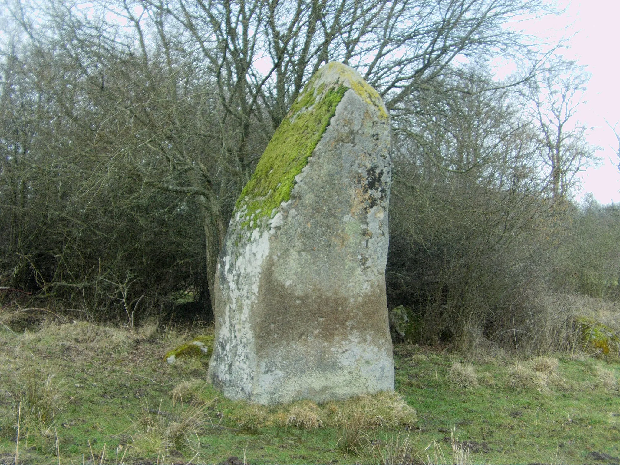 Photo showing: menhir : La Pierre de Gargantua (Craménil sur Rouvre)