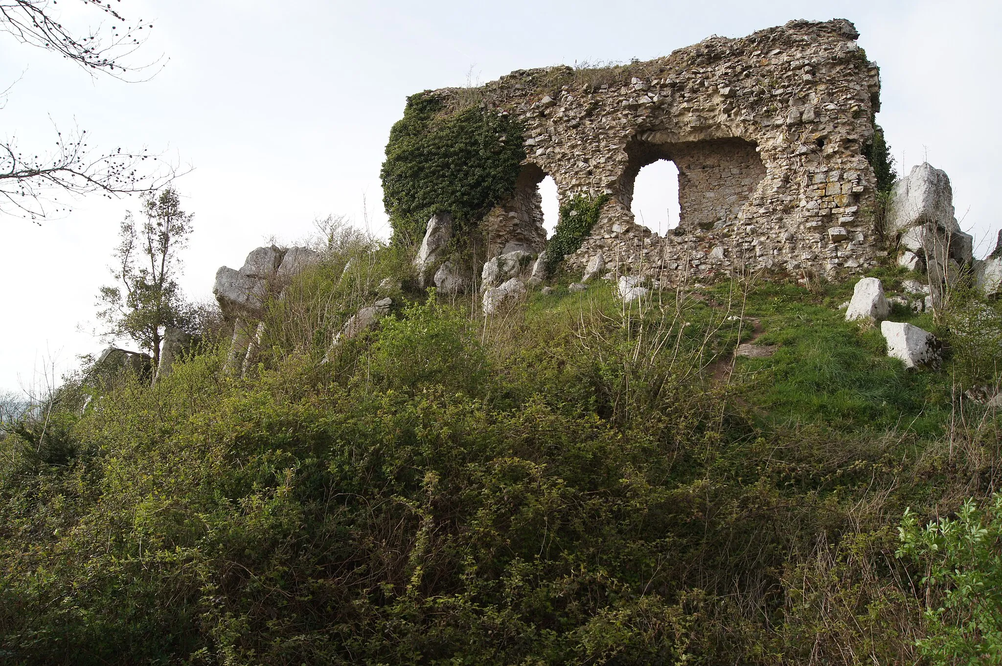 Photo showing: Le château ou vigie de Lithaire face sud