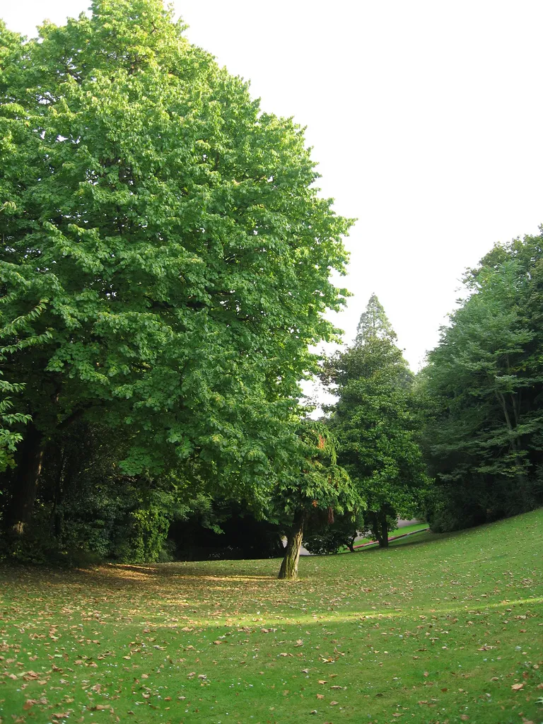 Photo showing: Parc public faisant la jonction entre la partie haute et la partie basse du jardin des plantes de Caen.