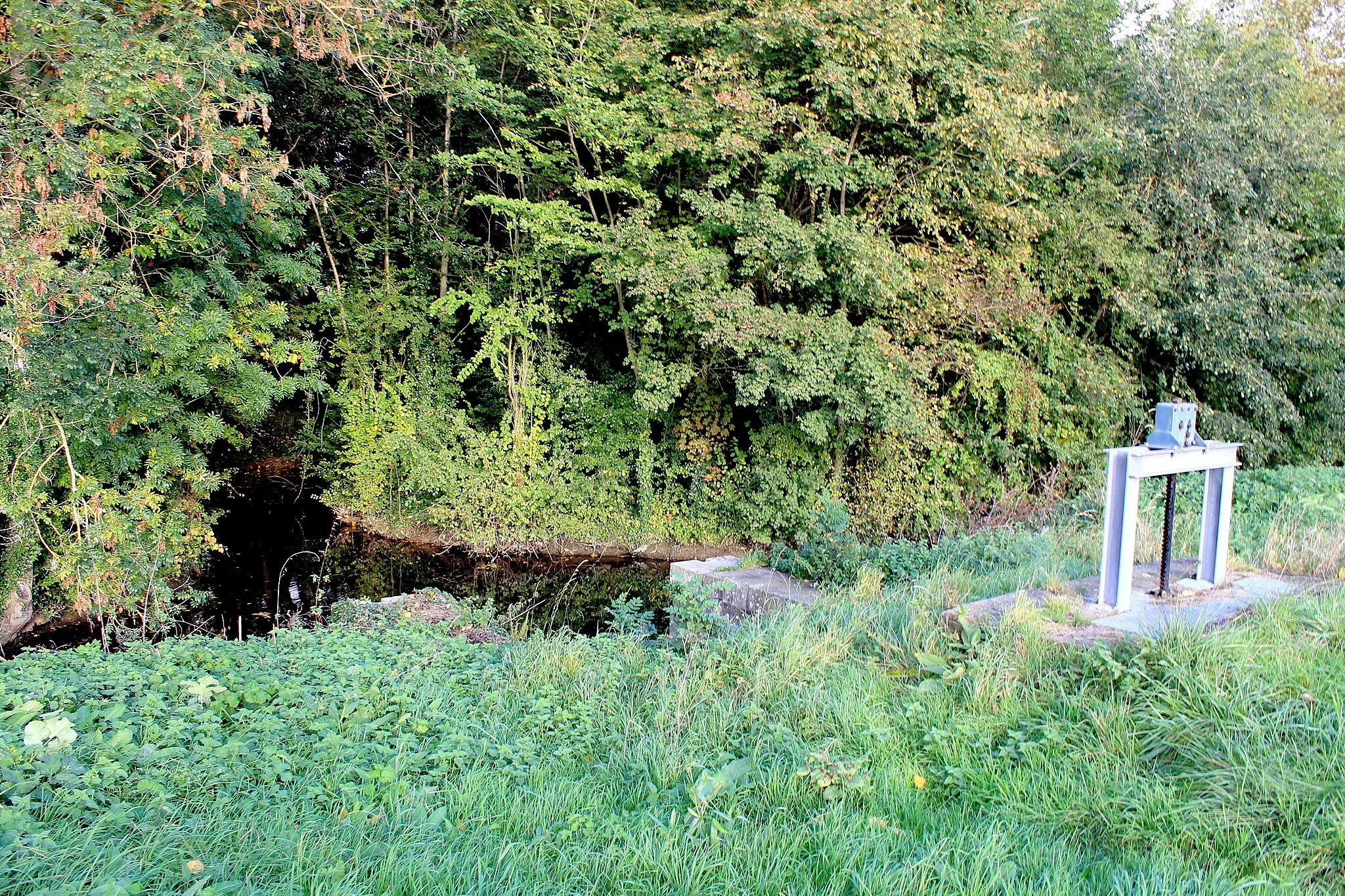 Photo showing: Le Petit Dan, bras du Dan, traverse le domaine de Beauregard et rejoint le canal de Caen à la mer à Hérouville-Saint-Clair (Calvados)