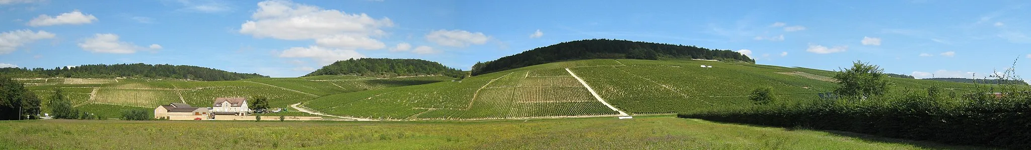 Photo showing: The Grand Cru vineyards north of Chablis, Burgundy. From left to right - Bougros, Les Preuses, Vaudésir, Grenouilles around the house, Valmur, Les Clos, Blanchots and in the far distance across the Vallée de Brechain, the Premier Cru of Montée de Tonnerre. Three photos stitched together.