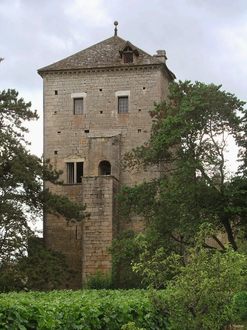 Photo showing: Chateau de Gevrey-Chambertin - Grosse tour carrée