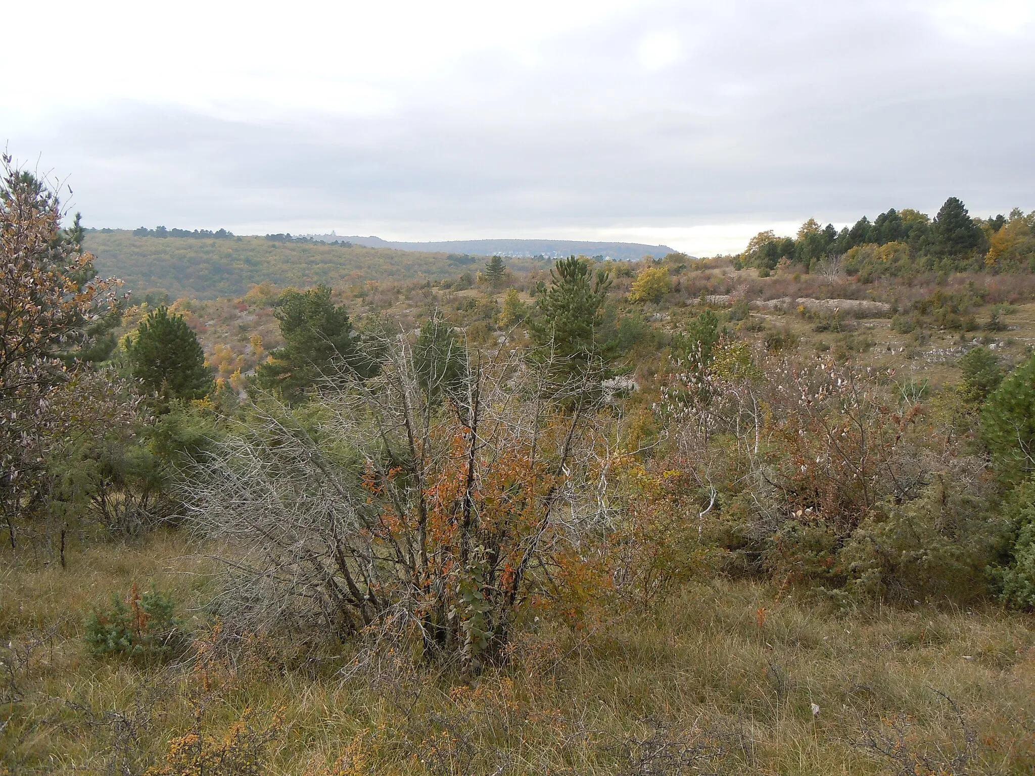 Photo showing: Combe de Gouville - Chenôve - Côte d'Or