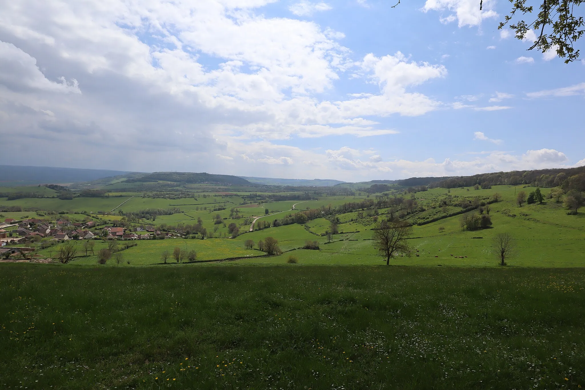 Photo showing: Le bourg de Savignyh-sous-Mâlain (21) depuis Seuriot Baudot. Au fond, la Montagne Saint-Laurent à Mesmont.