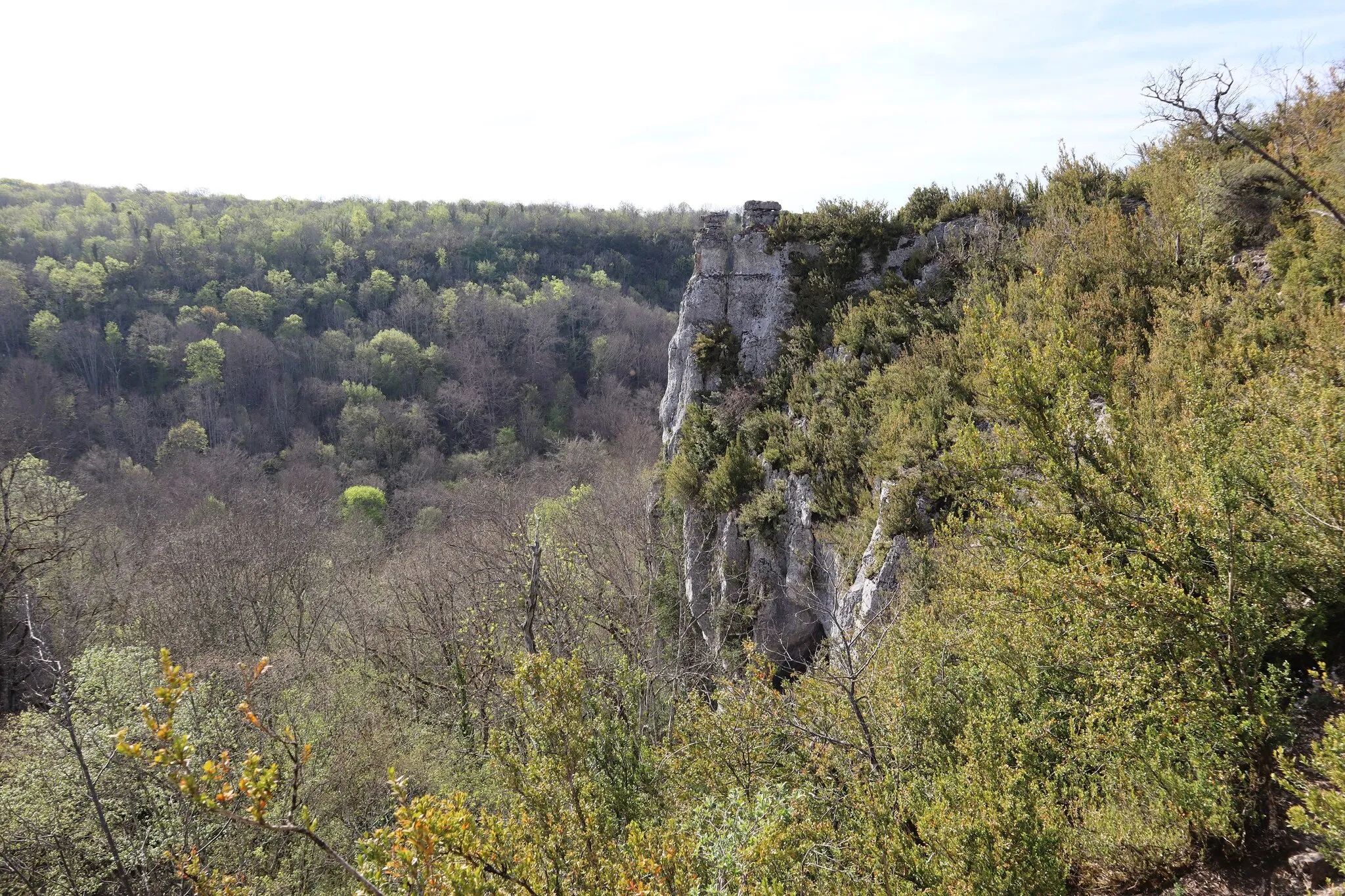 Photo showing: Combe de Vaux de Roche à Pasques (21).