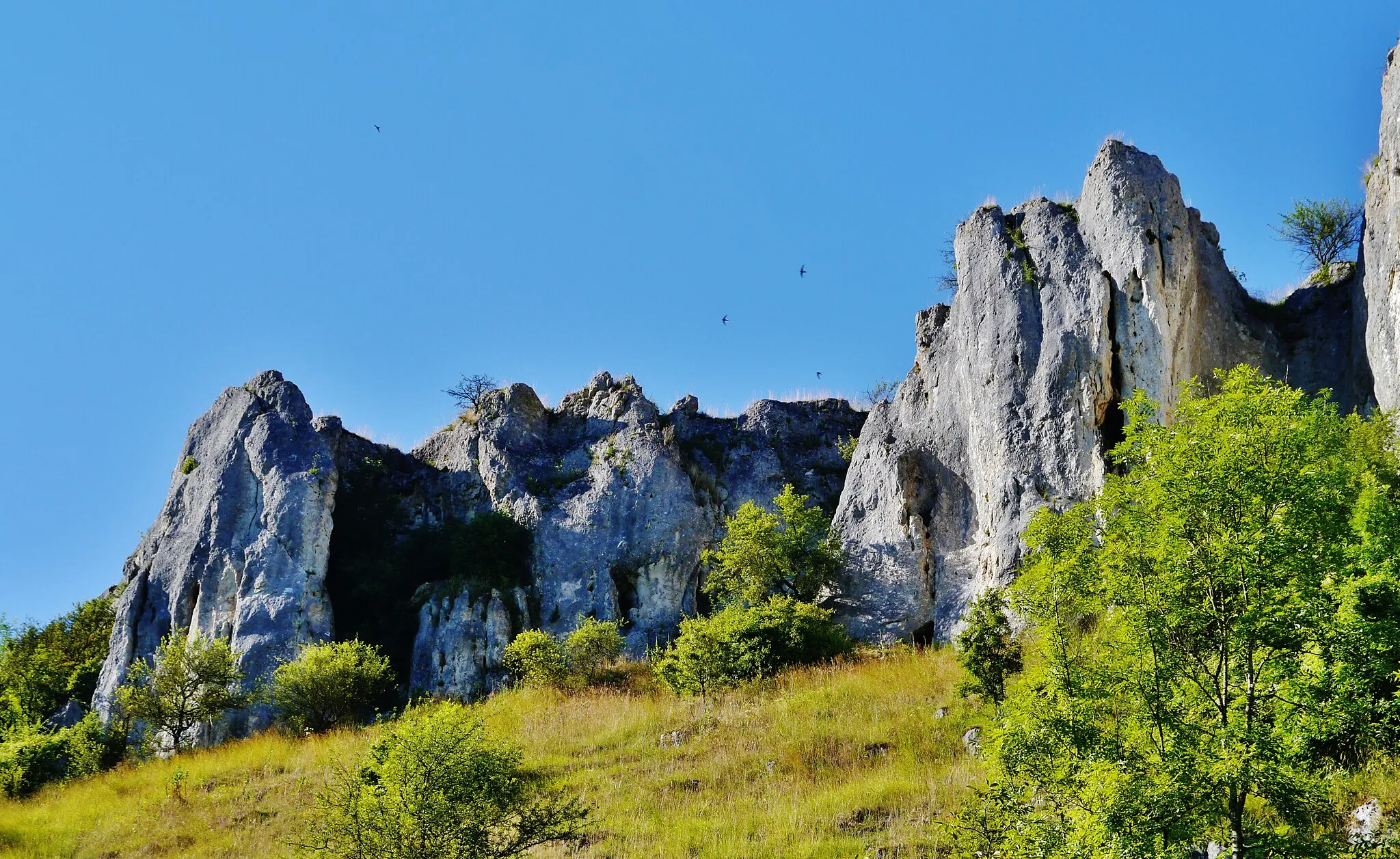 Photo showing: Rocks of Saussois, Merry-sur-Yonne, Département of Yonne, Region of Burgundy (now Burgundy-Franche-Comté), France