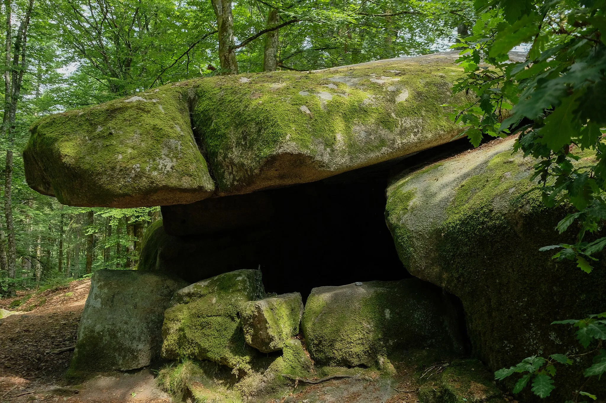 Photo showing: Dolmen de Chevresse near Saint-Brisson, Bourgogne-Franche-Comté, France