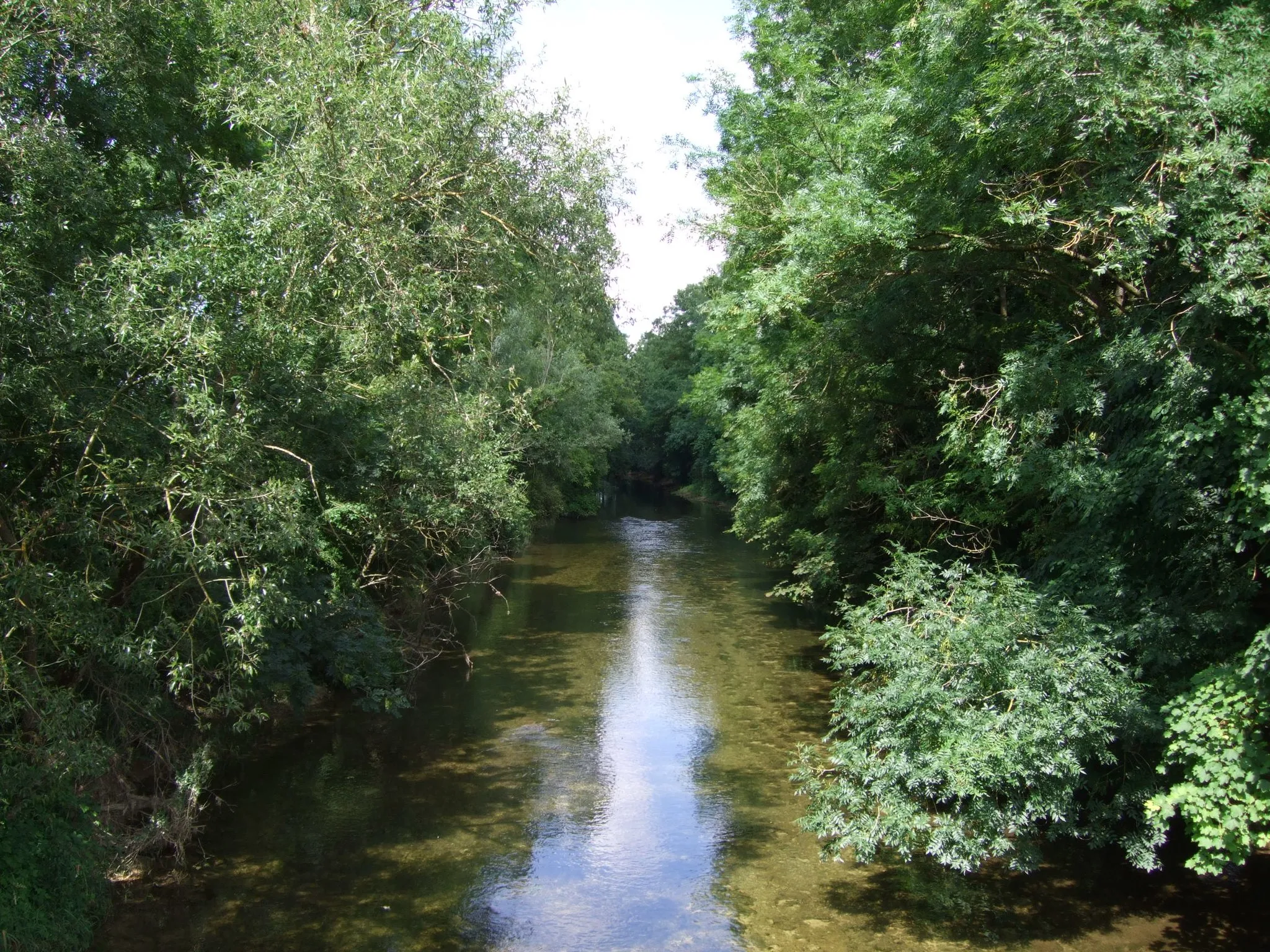 Photo showing: Tille river