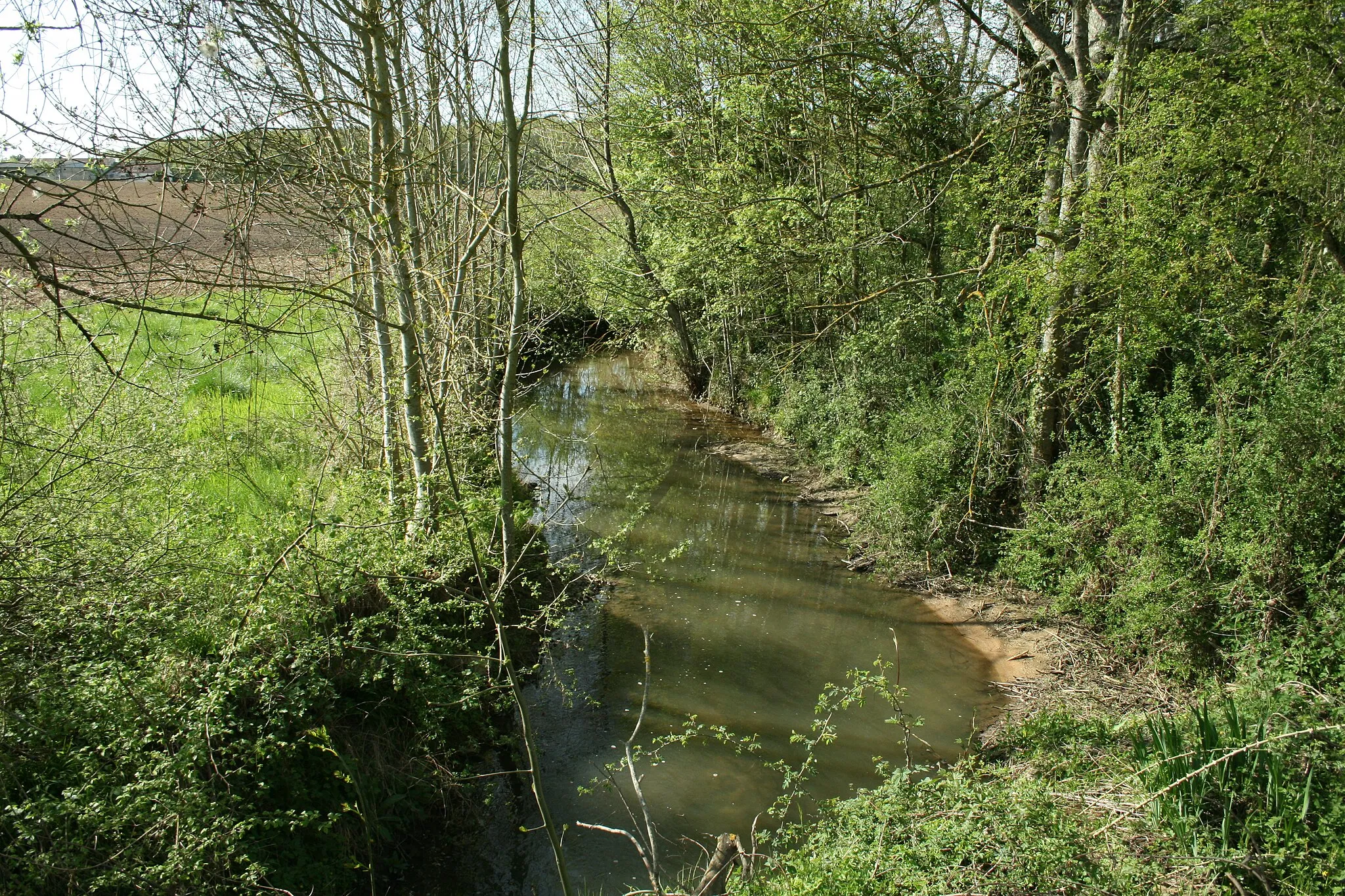 Photo showing: Le Lunain, près de La Belliole, village de l'Yonne - France.