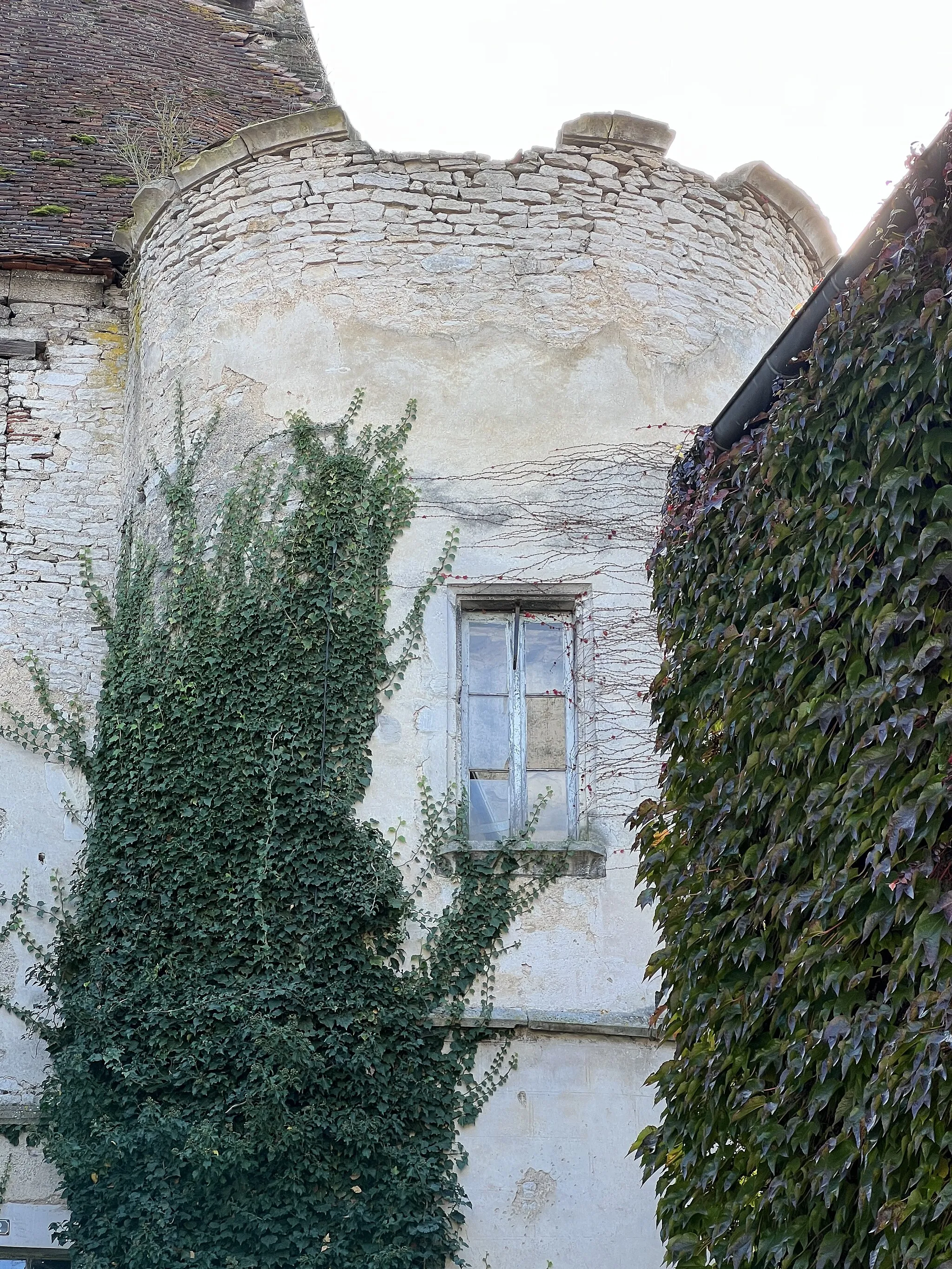 Photo showing: Vieux du château, Ravières.