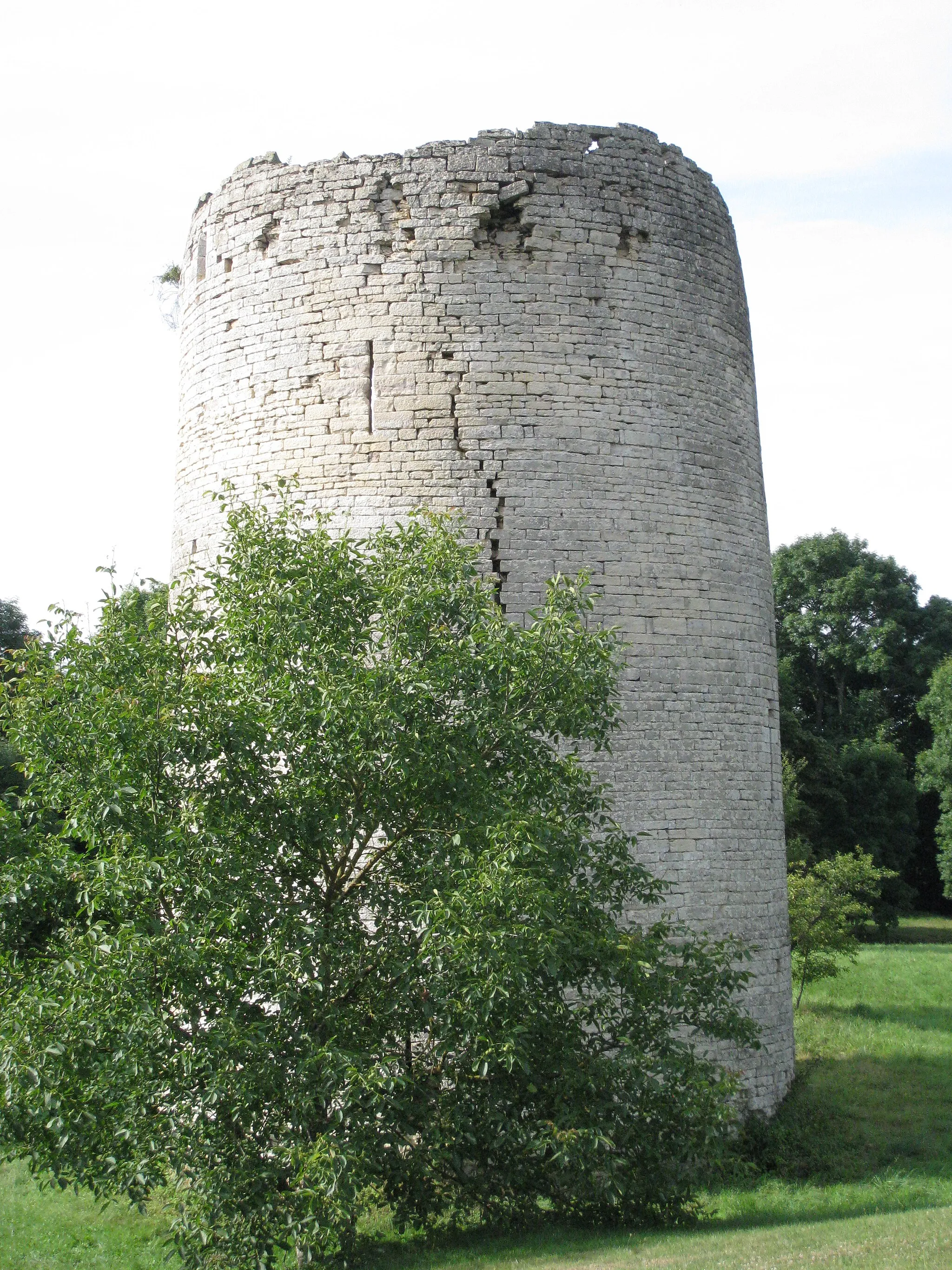 Photo showing: Tour en ruine seule subsistante du château fort d'Isômes, vue du côté encore debout.