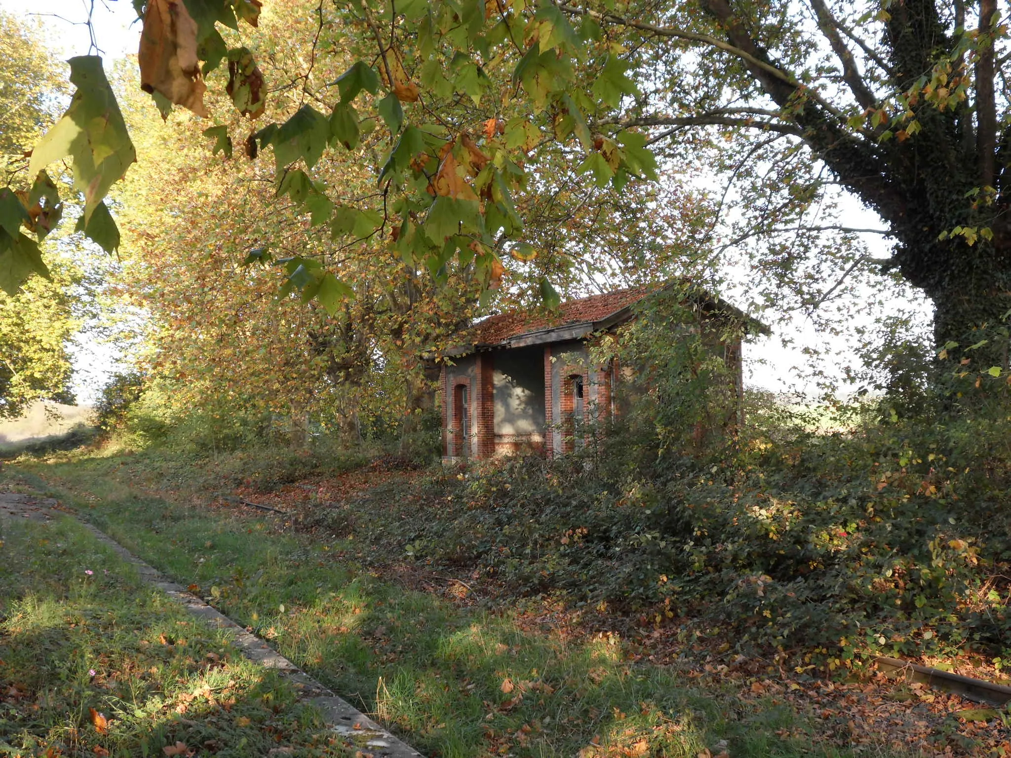 Photo showing: Gare de Champdôtre-Pont. L'ancien abri voyageurs, face au bâtiment voyageurs. Sur l'ancienne ligne Ligne Gray - Saint-Jean-de-Losne