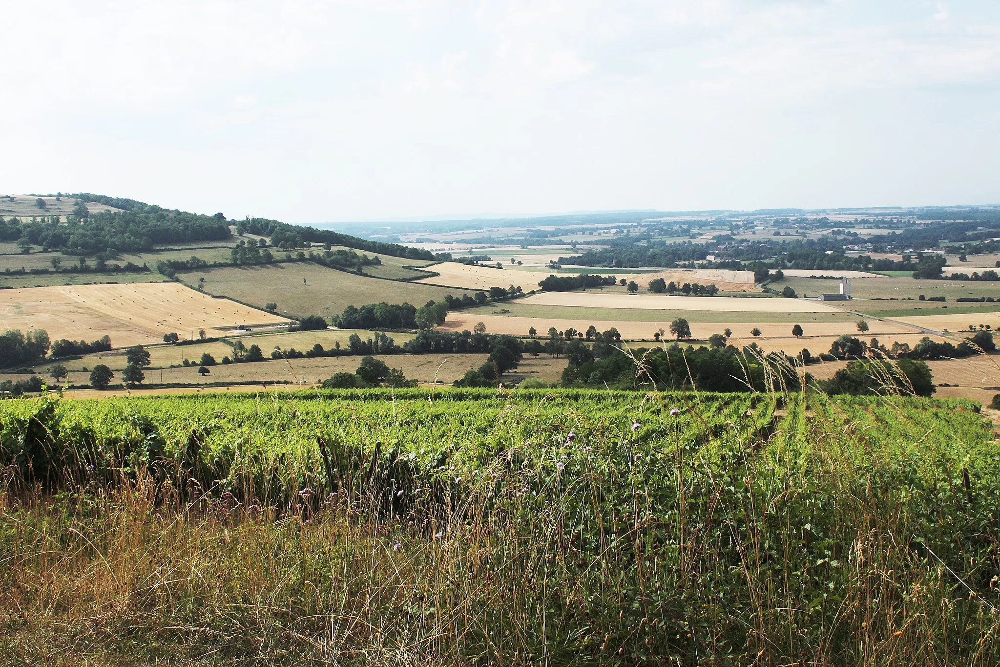 Photo showing: Viserny vineyards, Armançon valley and Cra mount (434m)