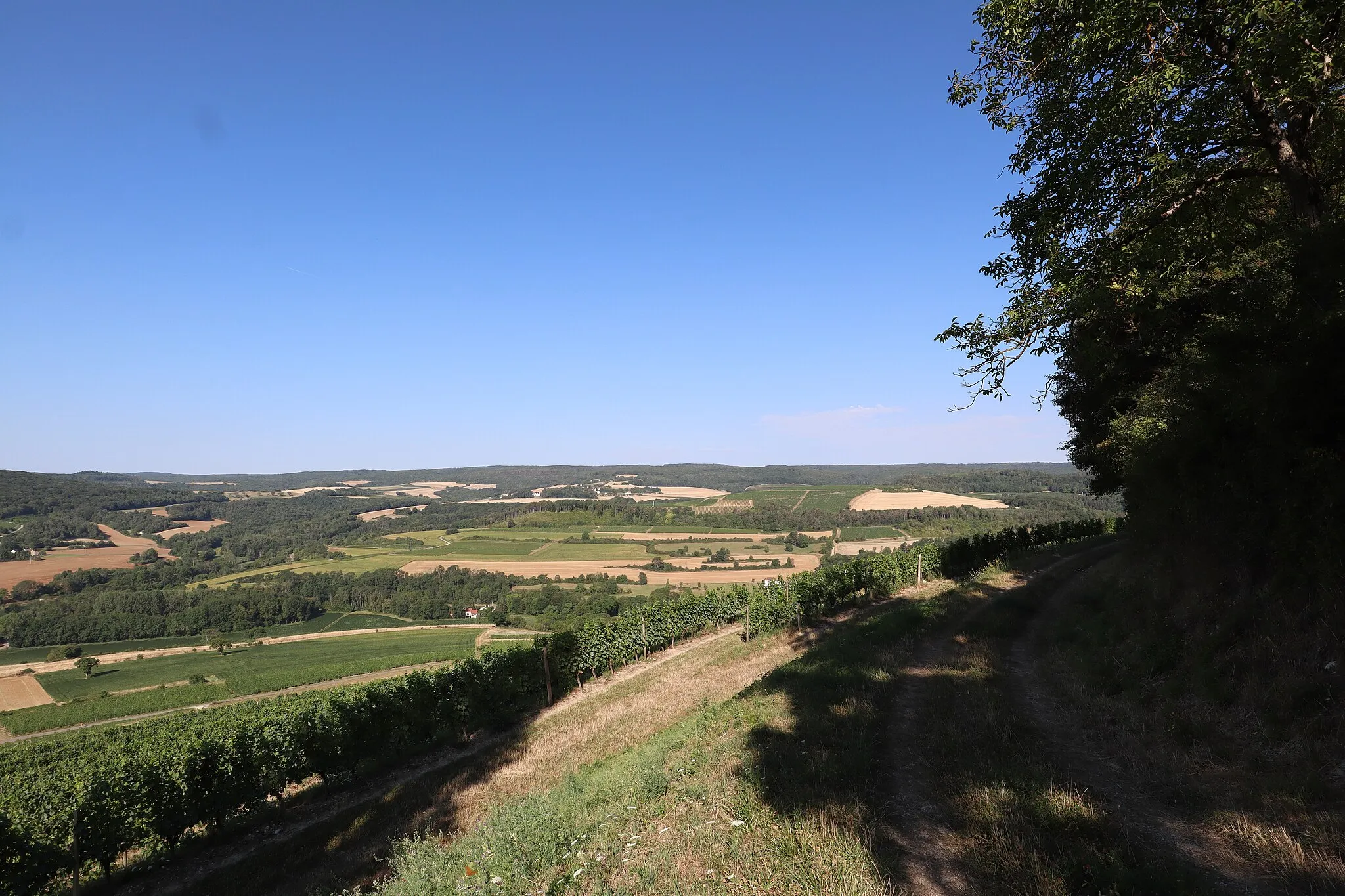 Photo showing: Le bourg de Collonges-les-Bévy (Côte-d'Or) vu depuis la butte de Vergy.