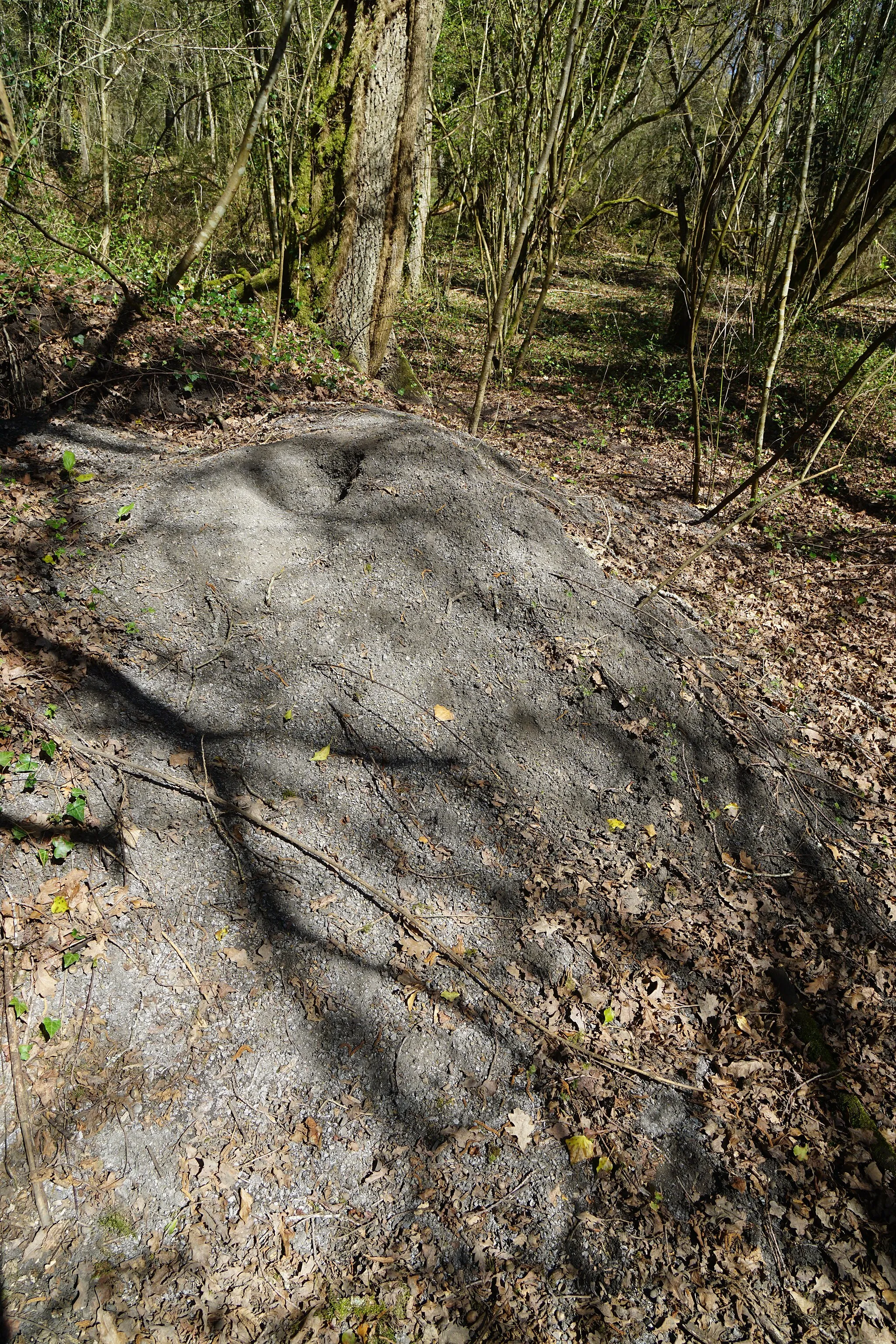 Photo showing: Le terril du puits de Chaton.