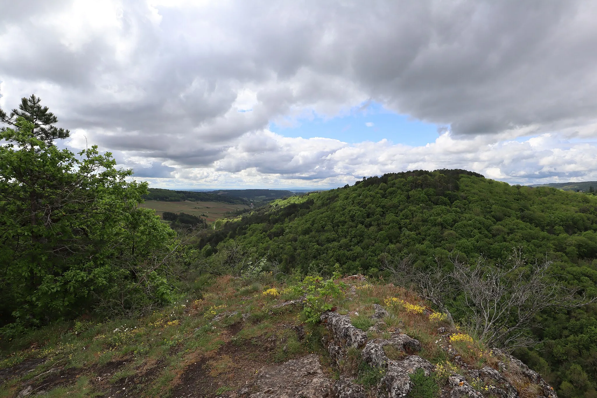 Photo showing: Montforand à Nantoux (21).