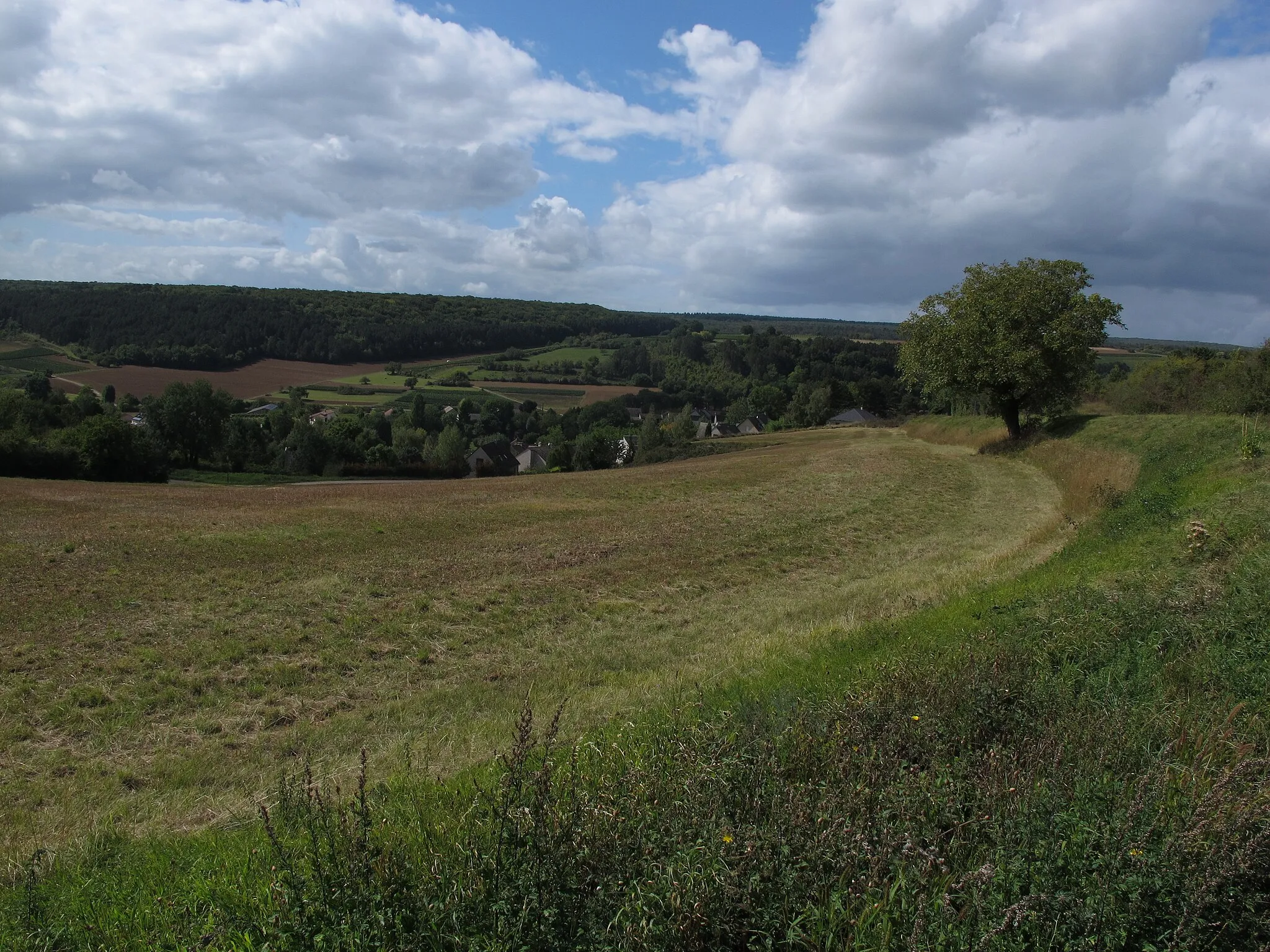 Photo showing: Échevronne