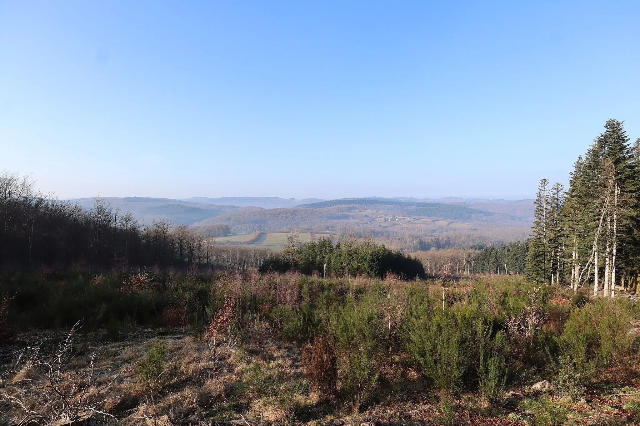 Photo showing: Panorama depuis le Col de la Croix Grenot à Gouloux (58).