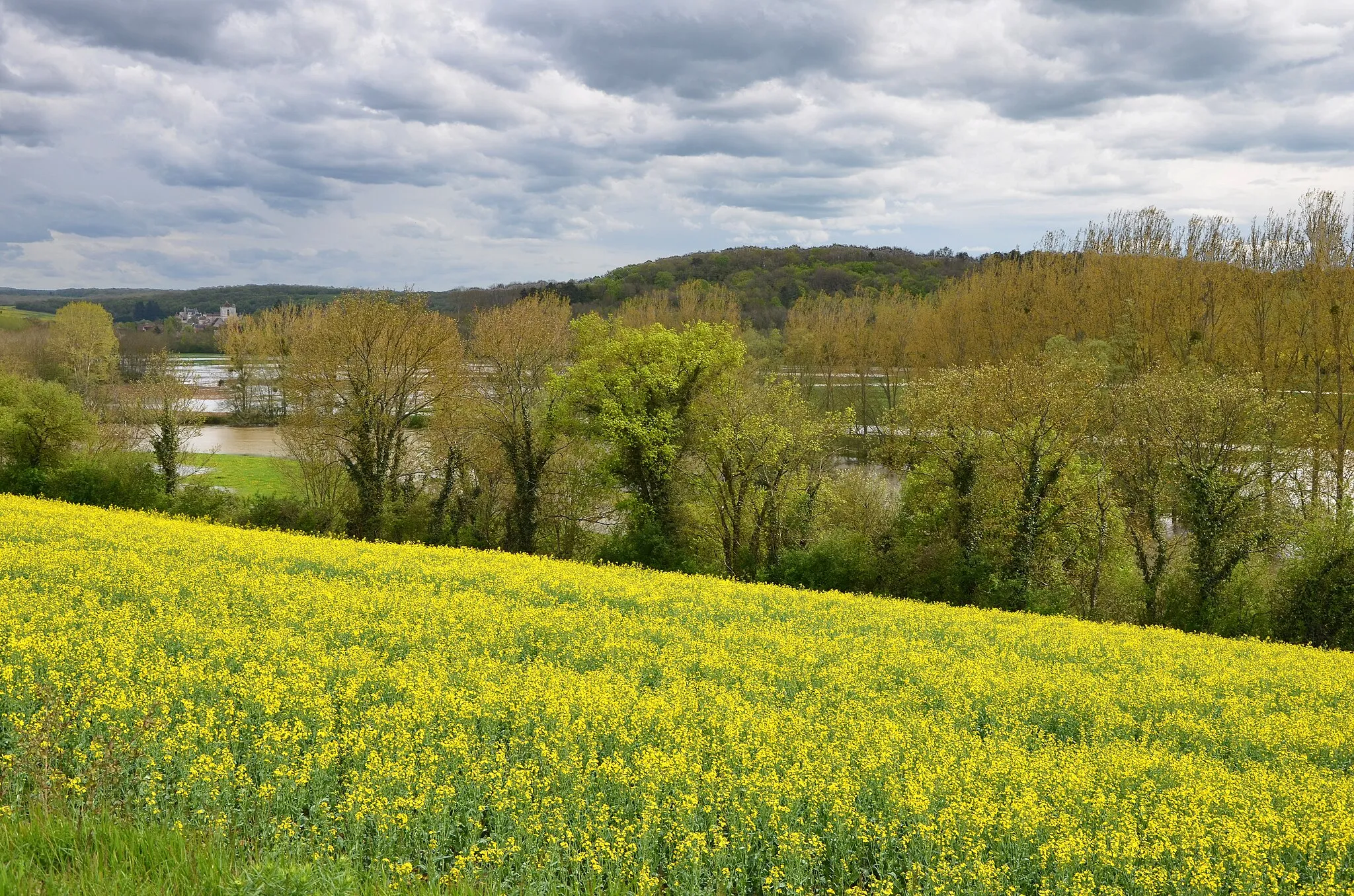 Photo showing: Crue de l'Yonne entre Crain et Coulanges, Yonne, France