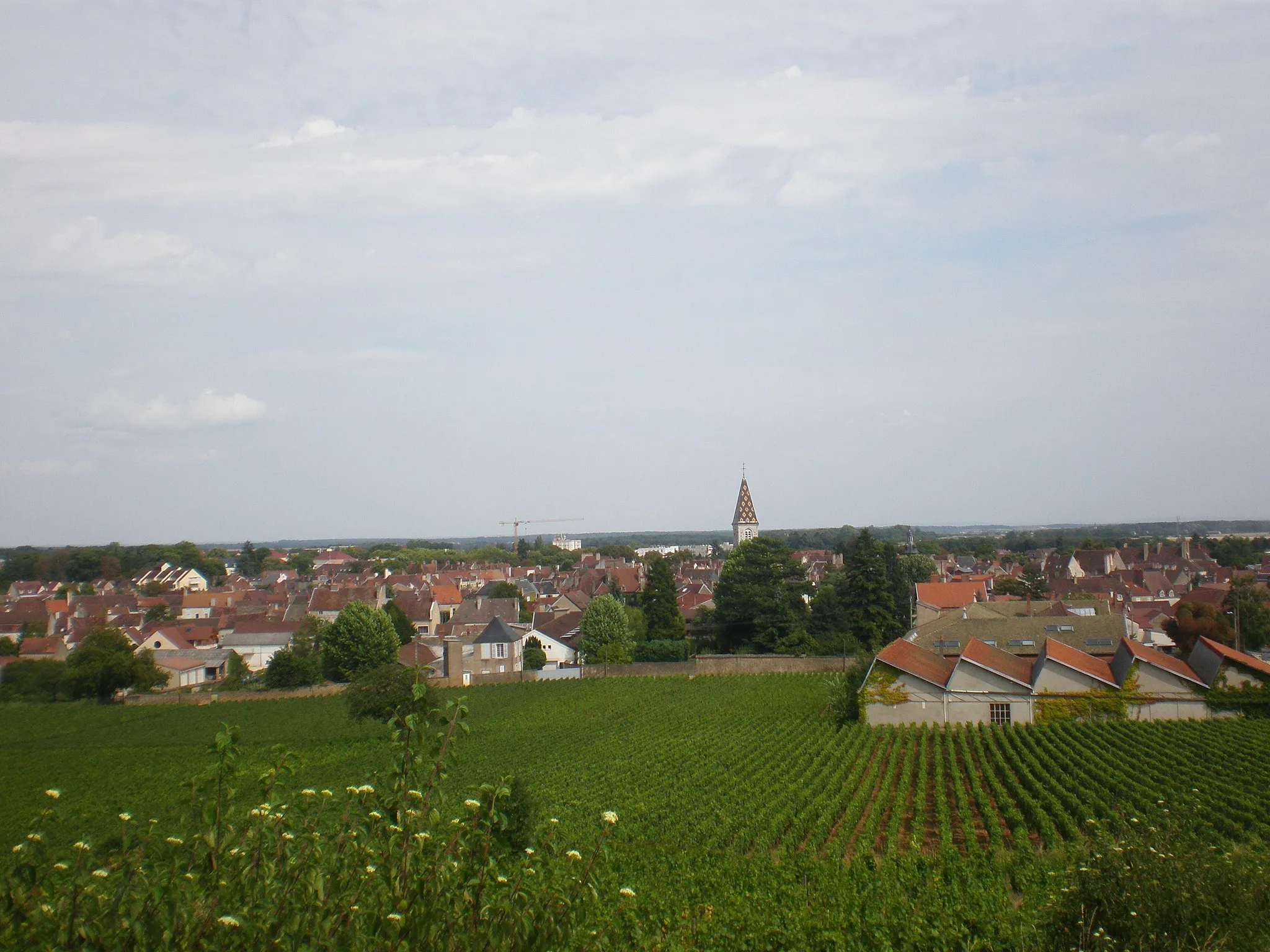 Photo showing: Vue de Nuits-Saint-Georges dans une côte