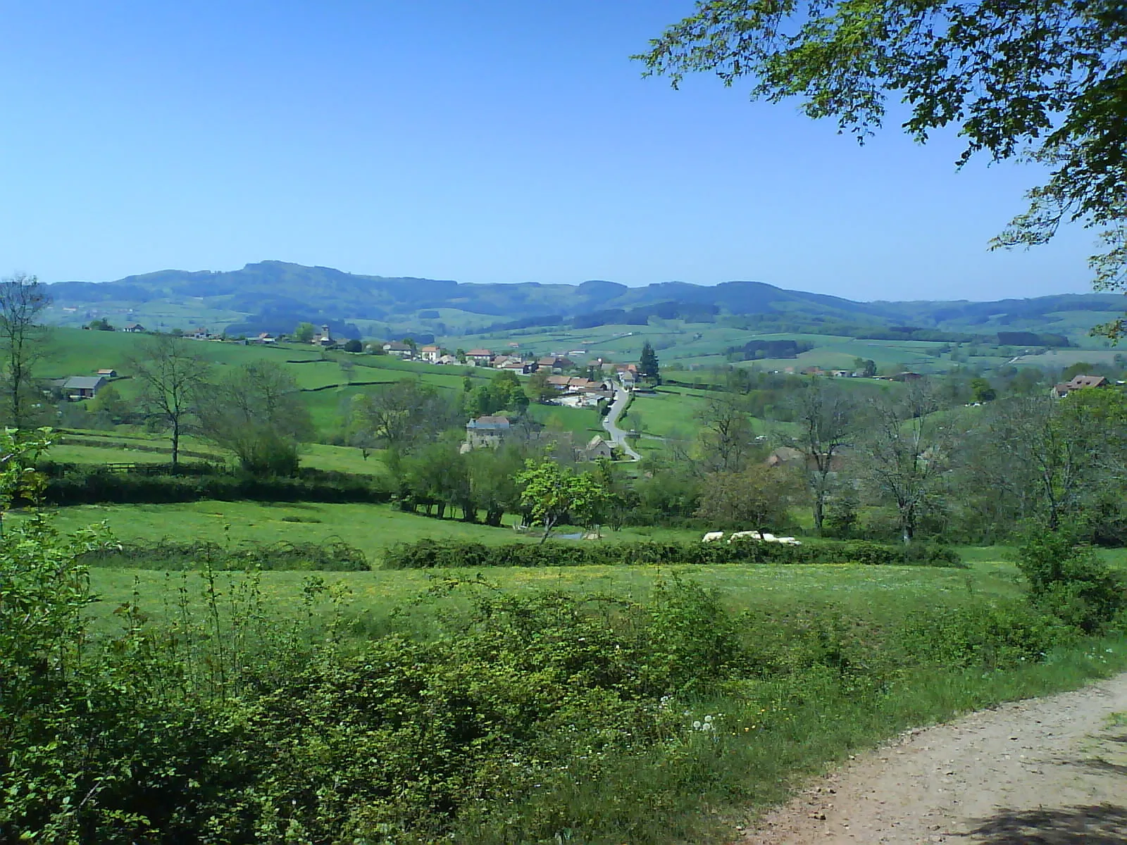 Photo showing: Photo of Buffières (71250 FRANCE)