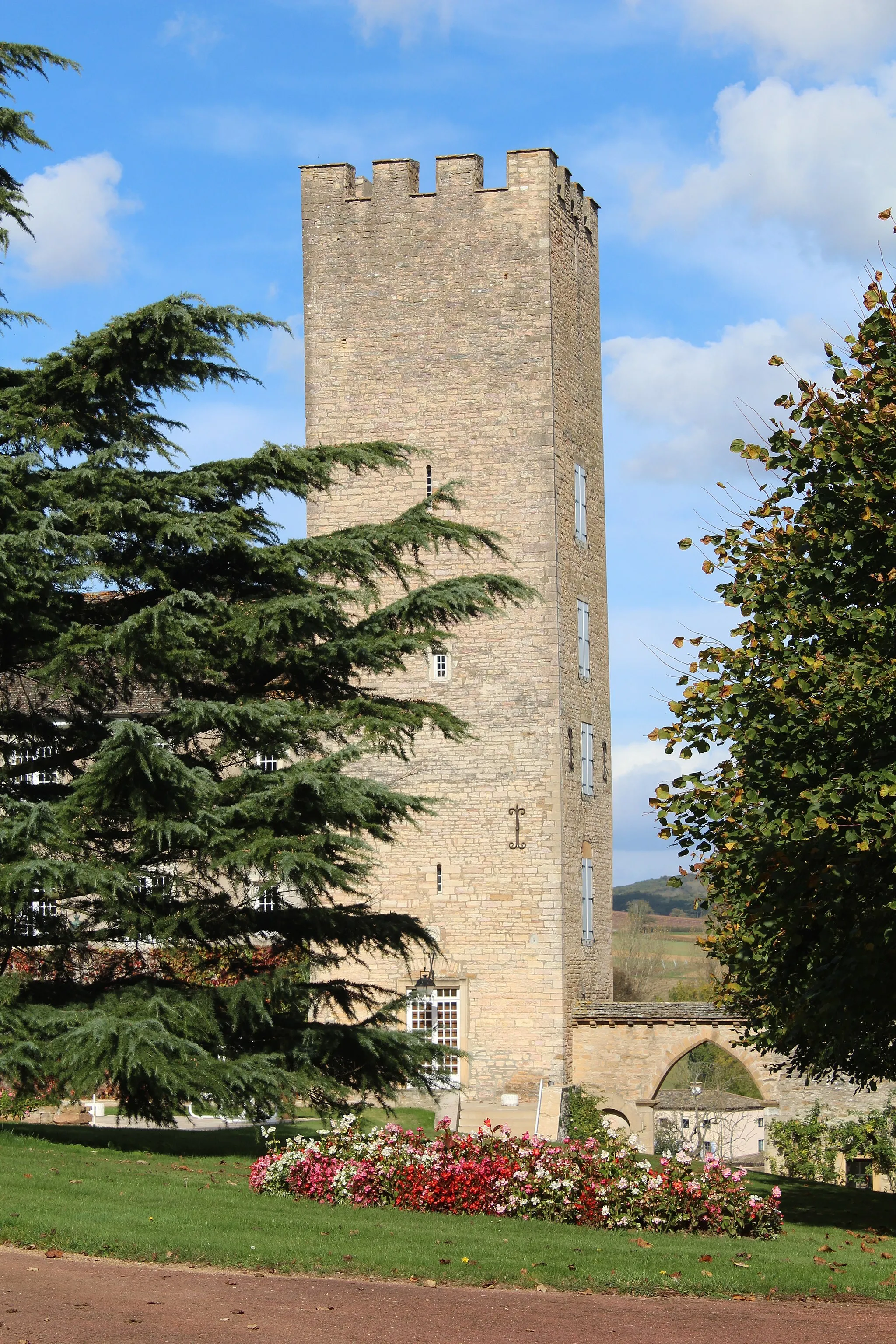 Photo showing: Château de Laizé.