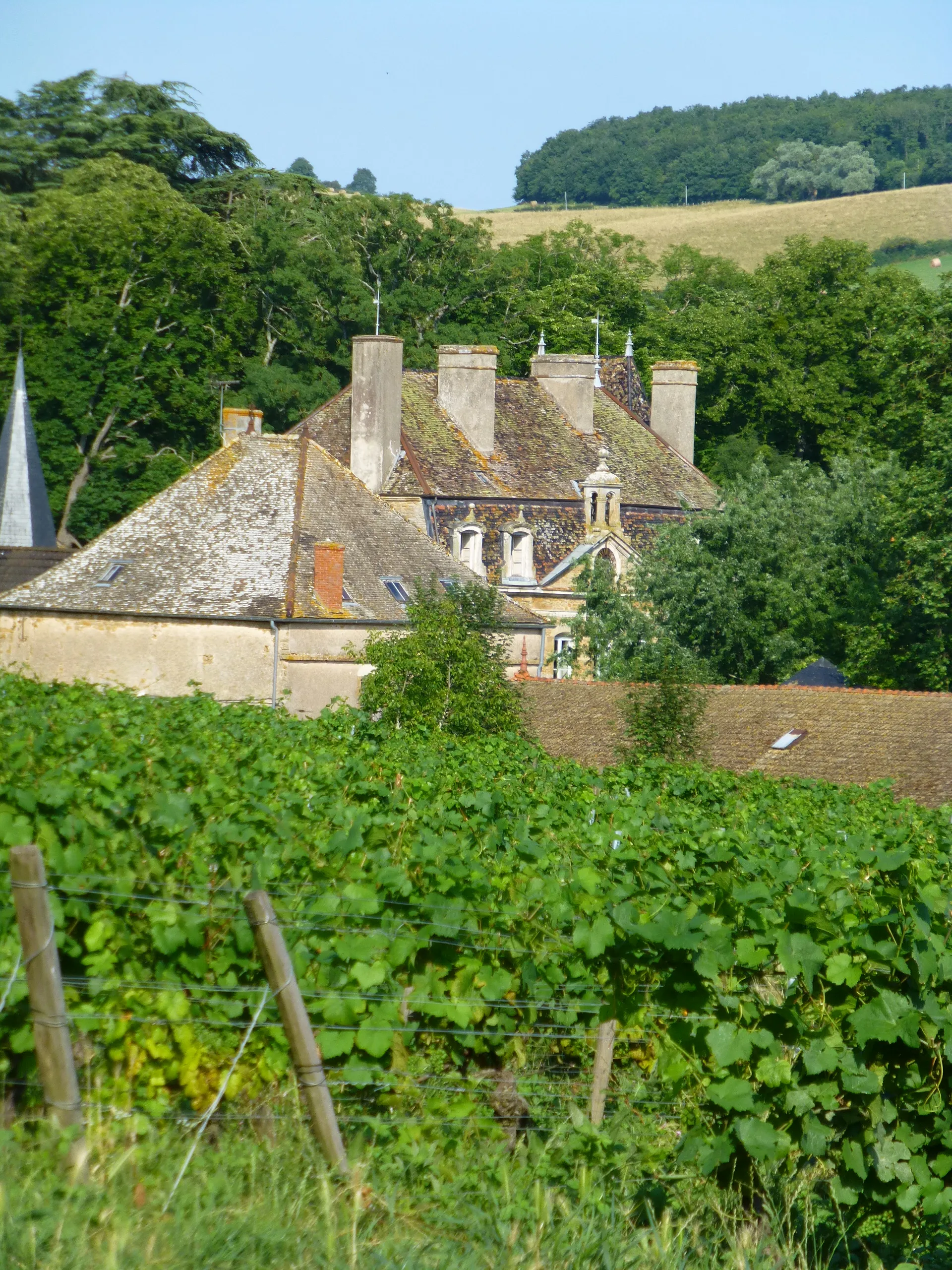 Photo showing: Sassangy castle in Saône-et-Loire (summer)