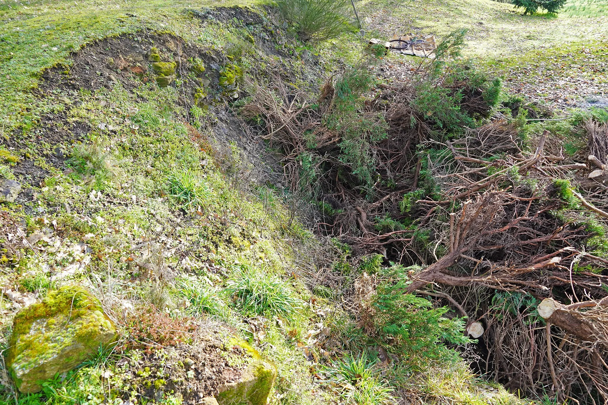 Photo showing: Le puits Saint-Georges de Chambois, dont subsiste l'orifice du puits et un modeste terril. Vestige situé dans l'emprise d'une propriété privée. Autorisation demandée pour photographier.