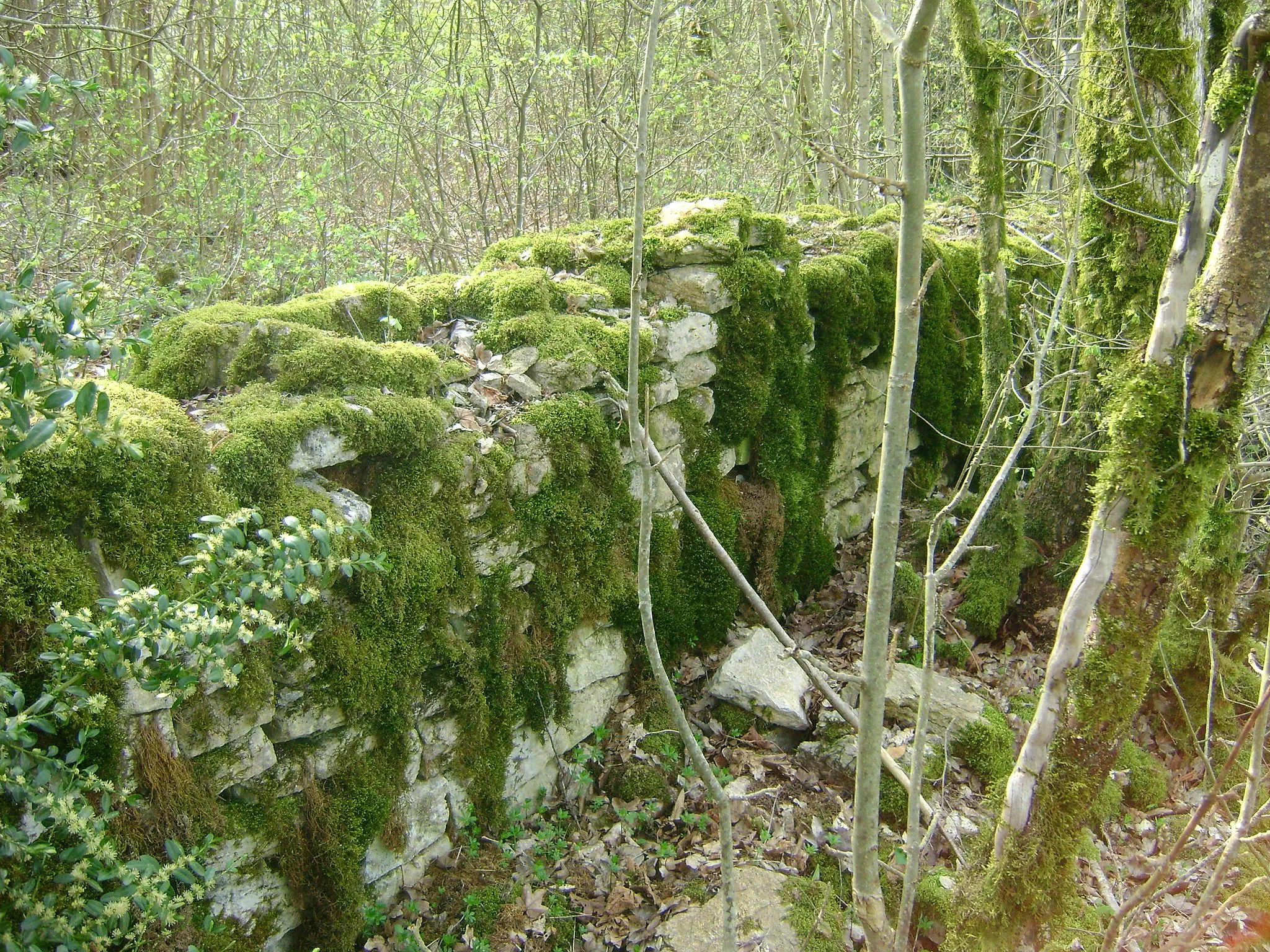 Photo showing: Pan de mur de l'ancien château, Pimorin, Jura, France