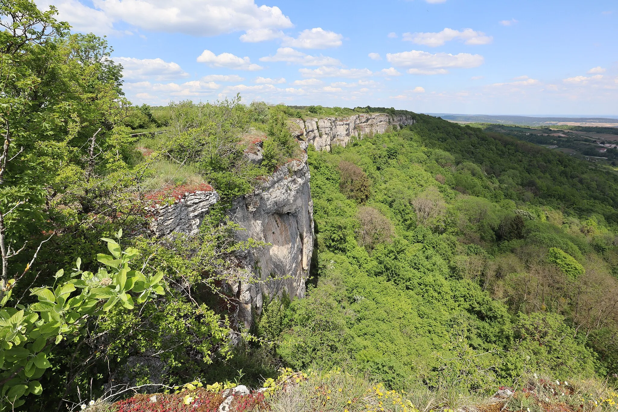 Photo showing: Falaises de Saint-Romain en Côte-d'Or.