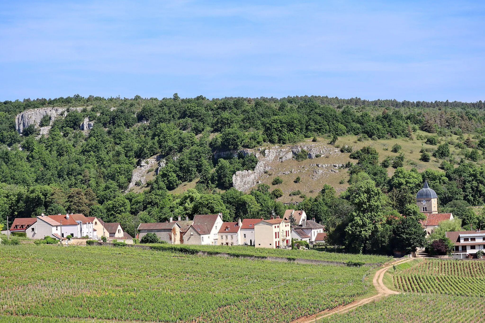 Photo showing: Village et vignes de Chambolle-Musigny, Côte-d'Or.