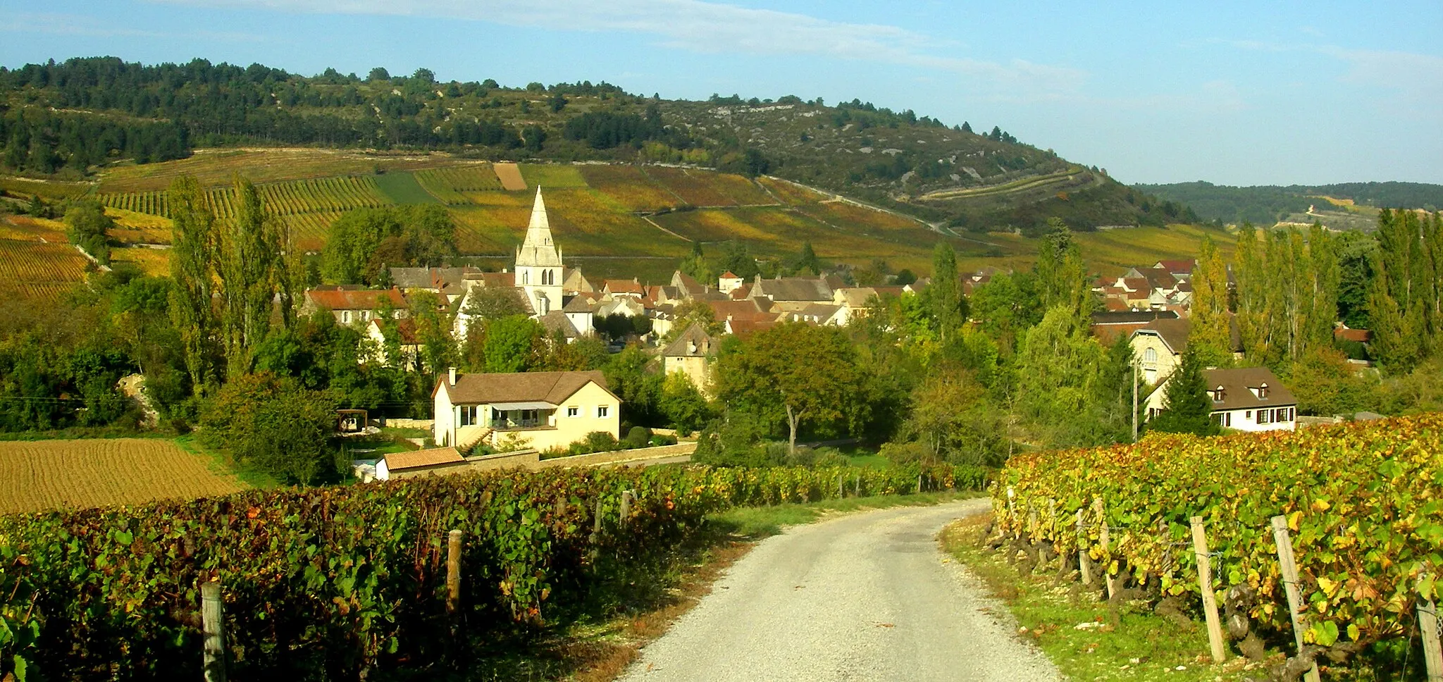 Photo showing: Auxey-Duresses's landscape, Côte d'Or, Burgundy, France